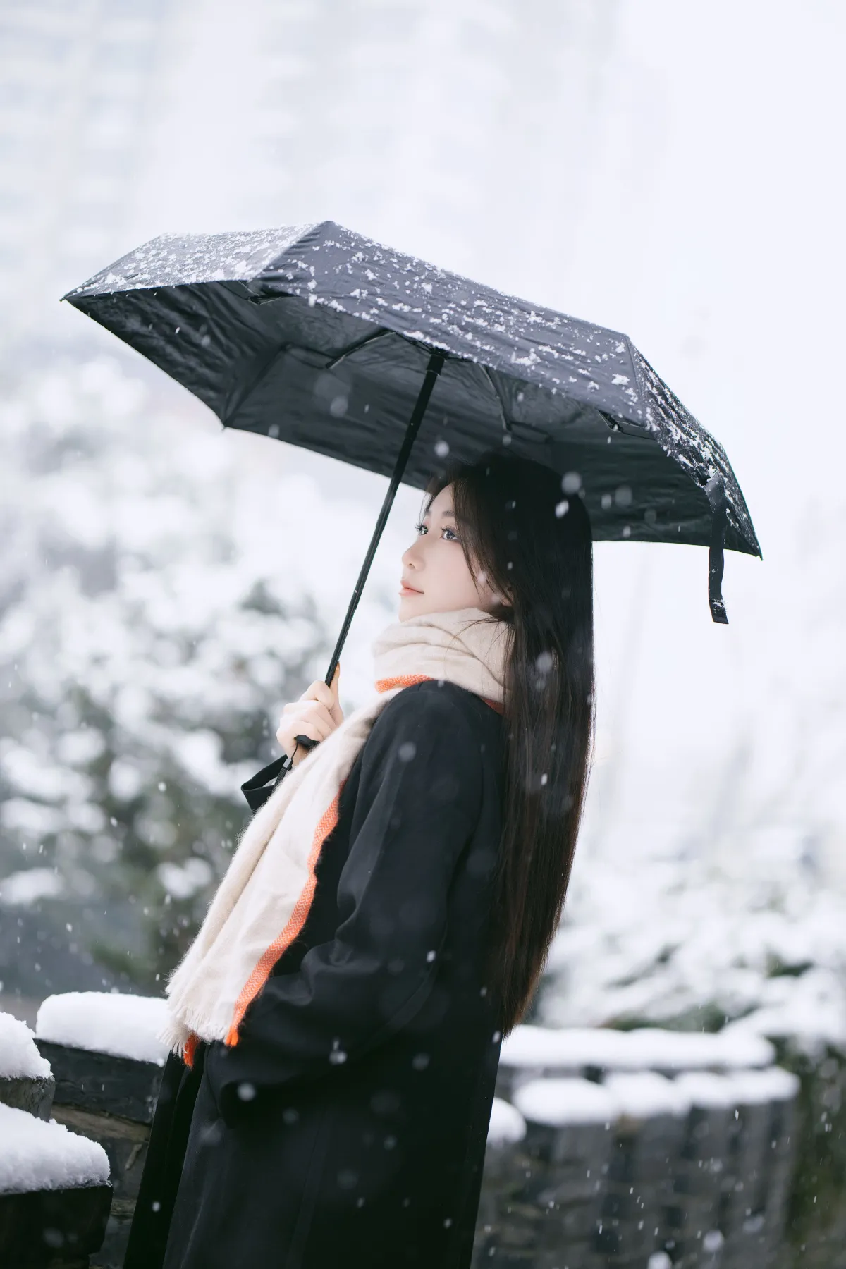 雪中独舞的花2