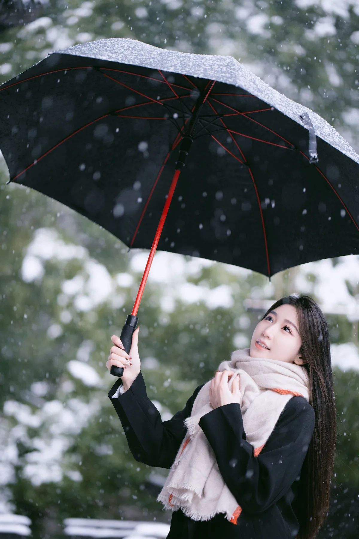 雪中独舞的花