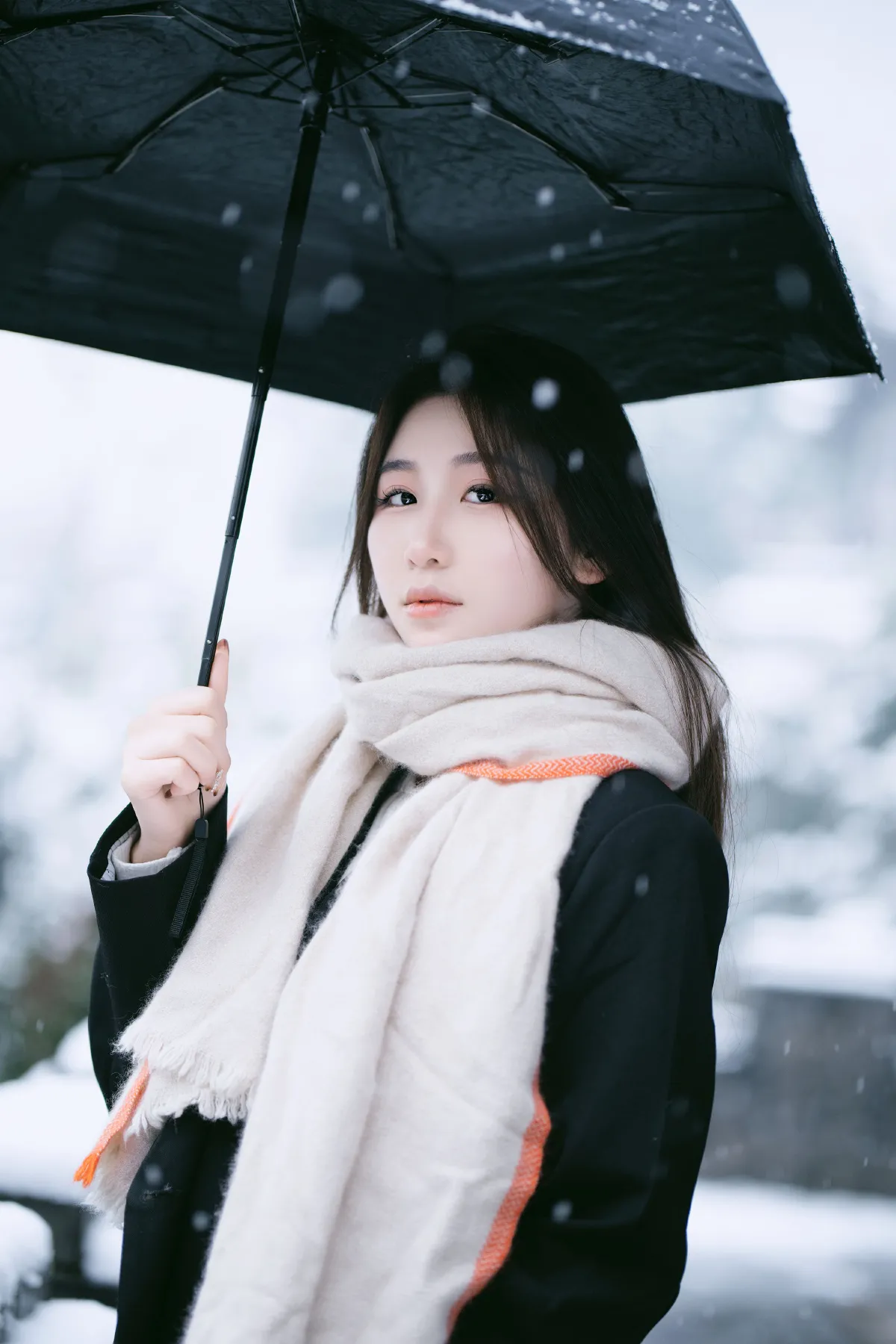 雪中独舞的花3