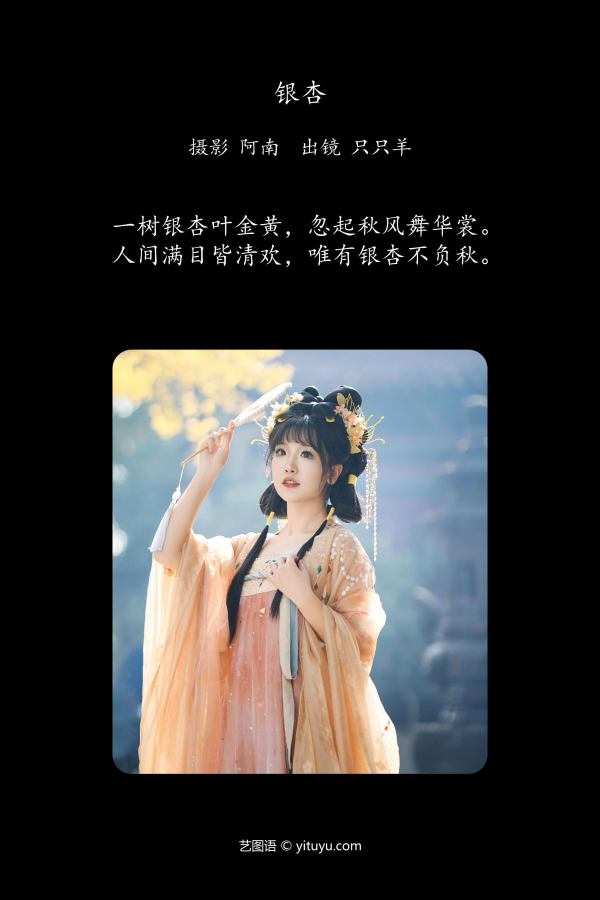 阿南_只只羊《银杏》美图作品图片2