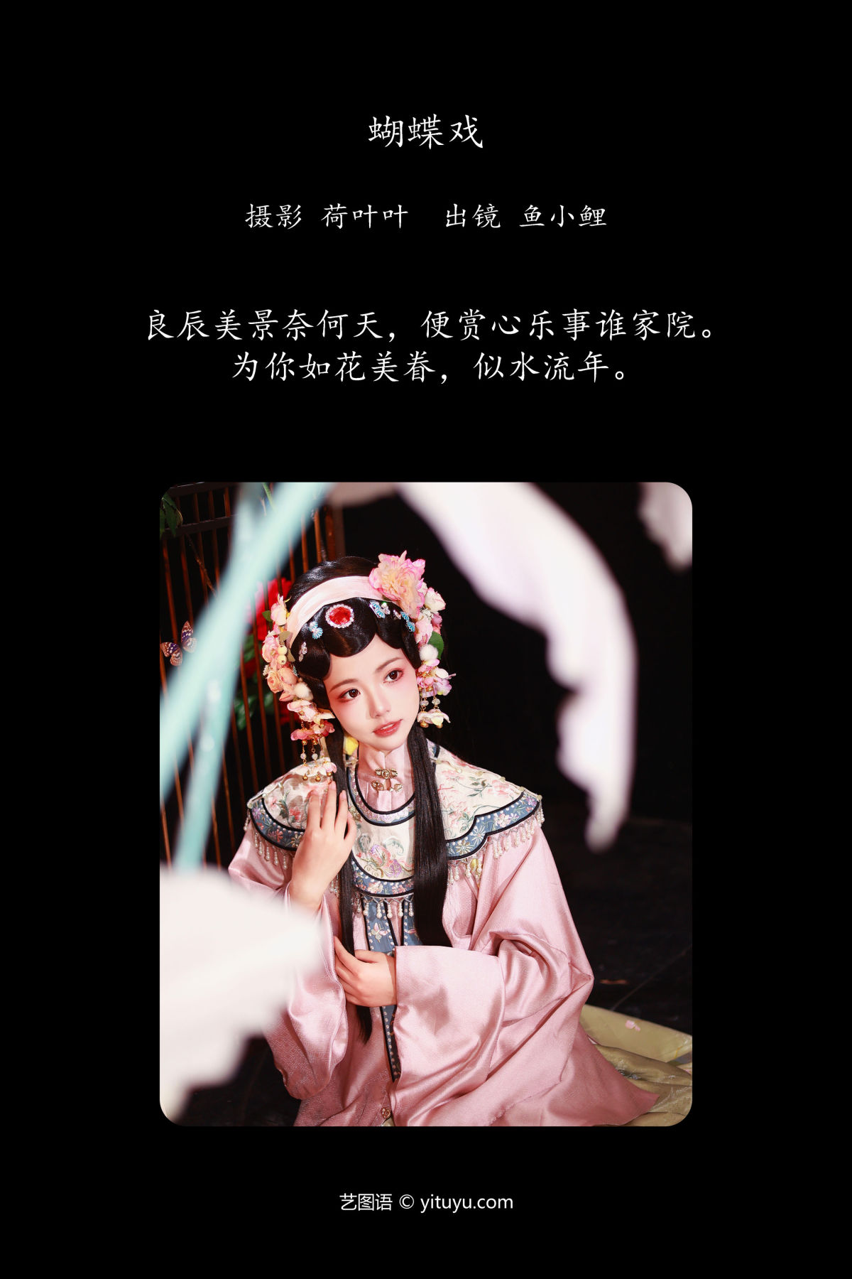 荷叶叶_魚小鯉lili《蝴蝶戏》美图作品图片2