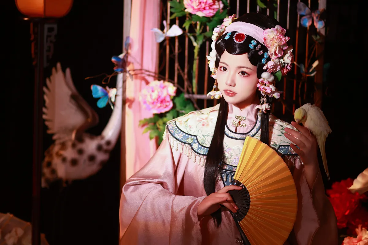 蝴蝶戏1