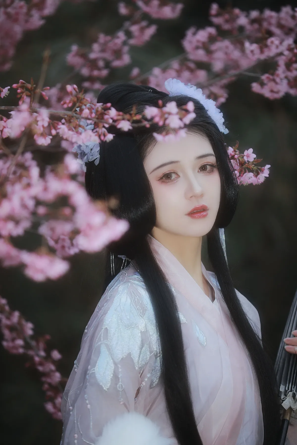 幸得识卿桃花面