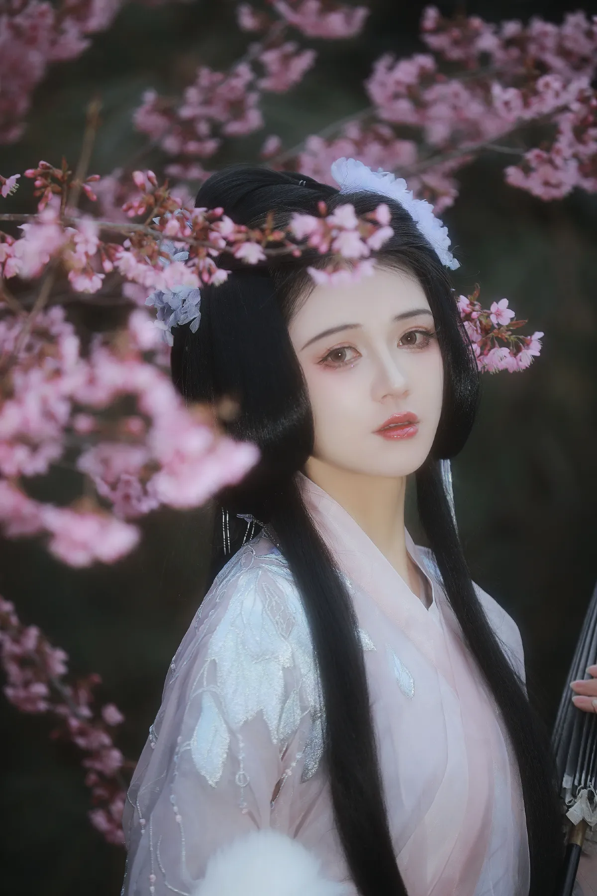 幸得识卿桃花面1