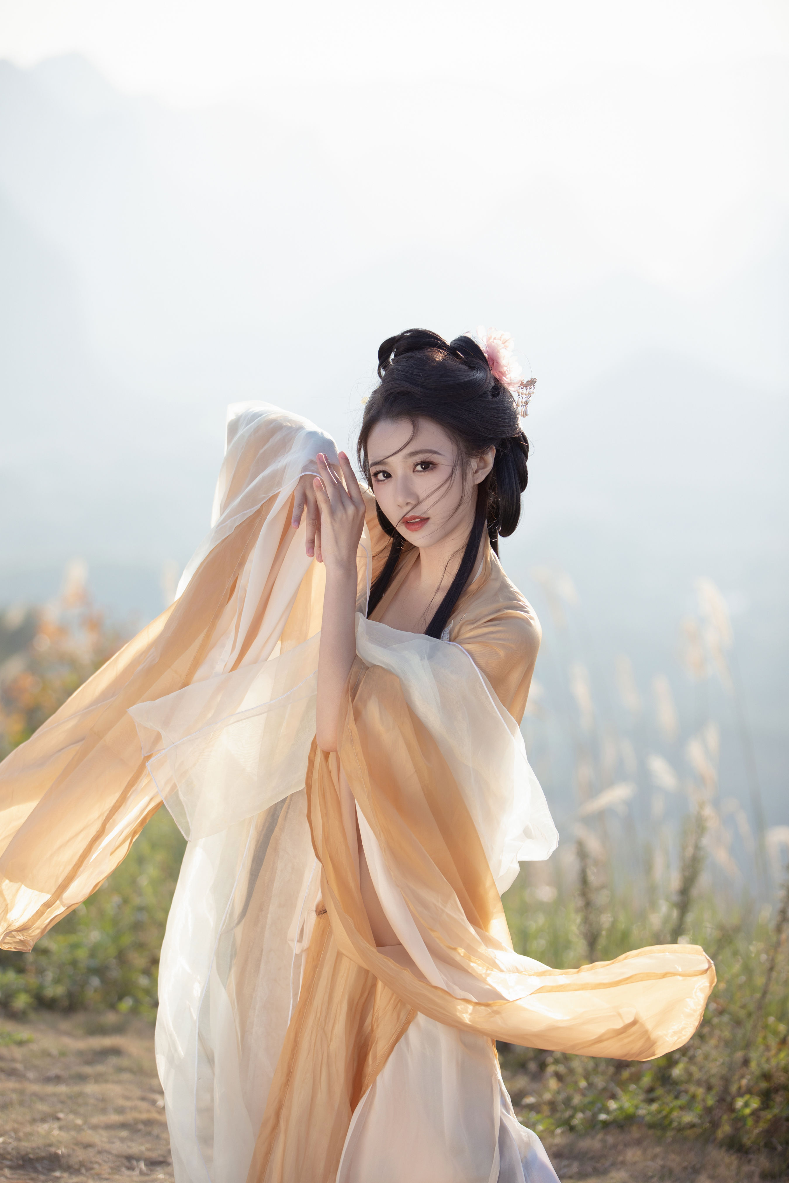 苏幕遮1