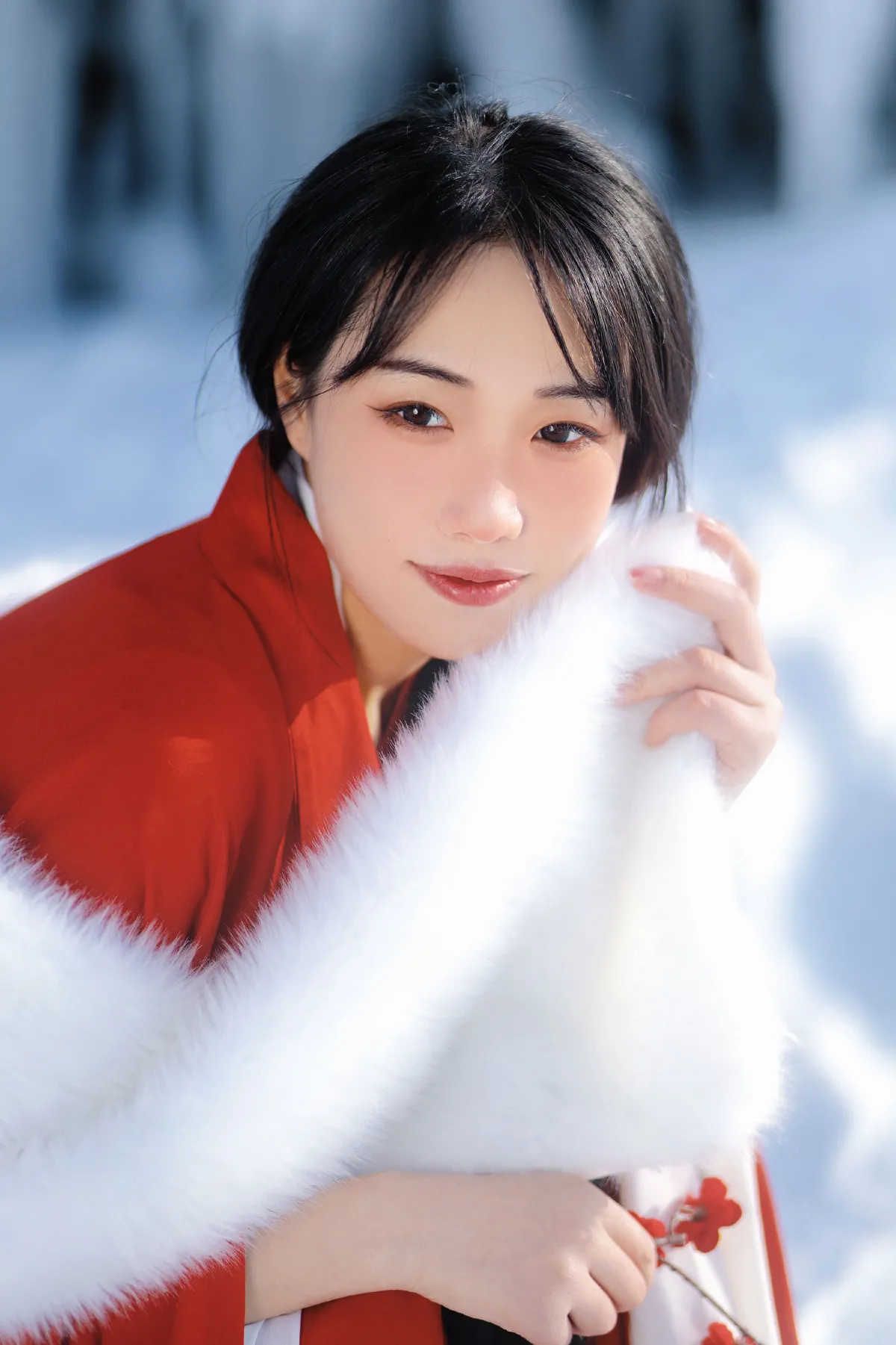 红梅白雪知