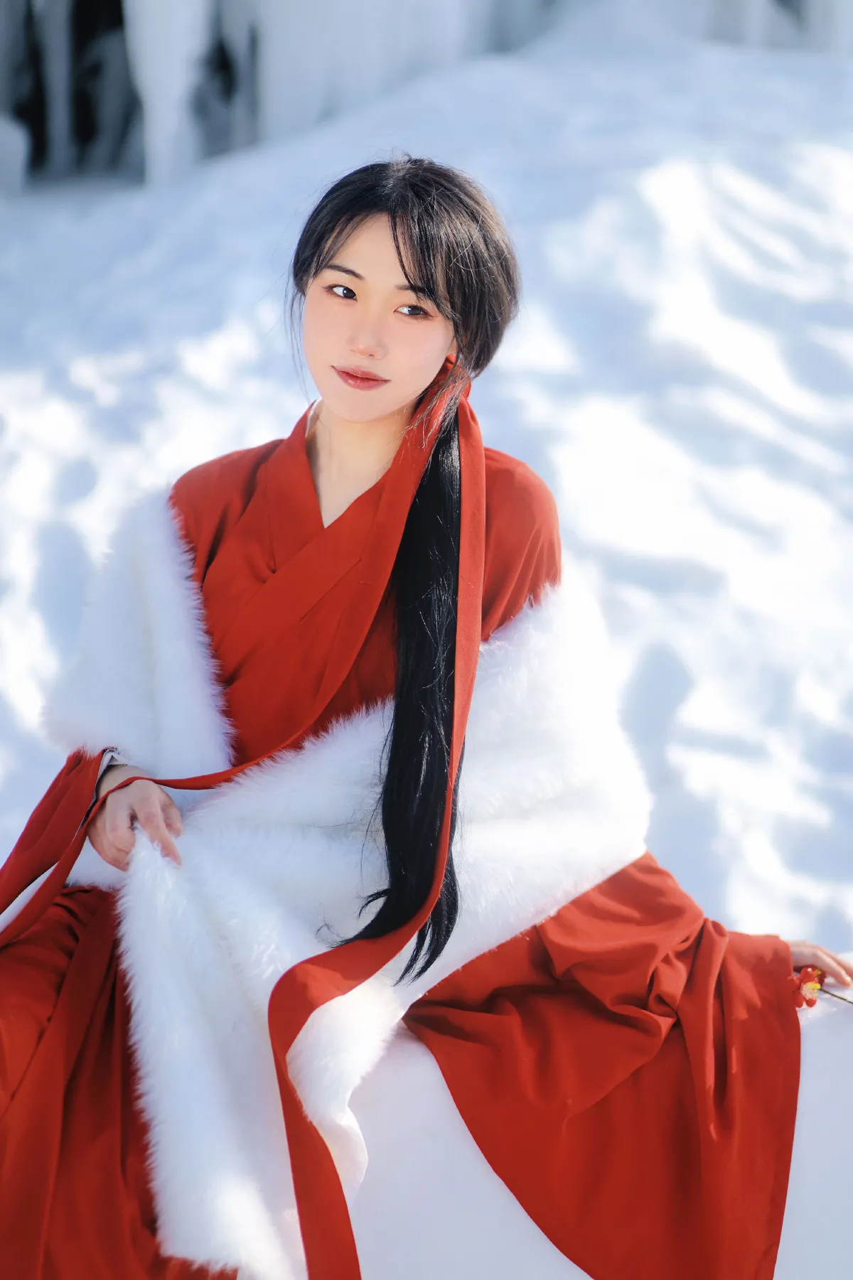 红梅白雪知