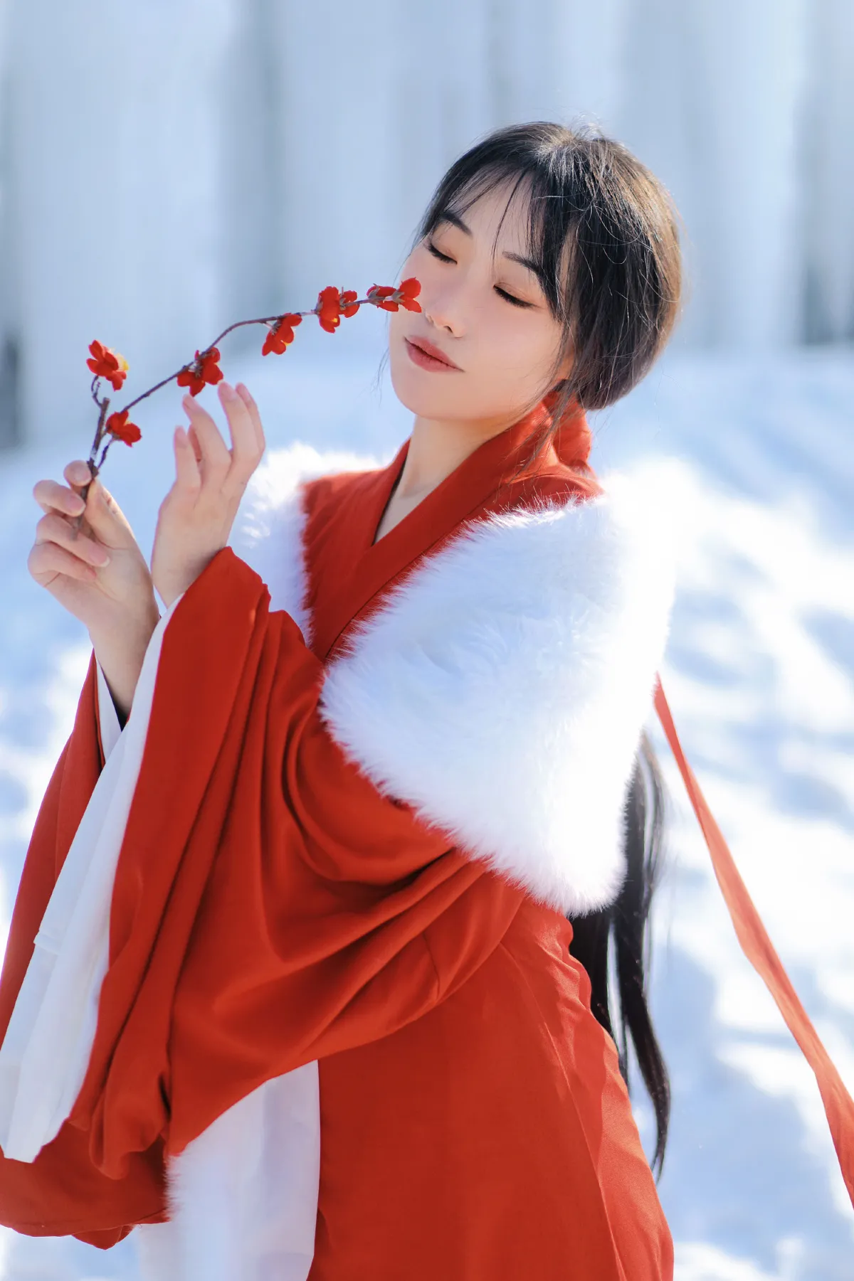 红梅白雪知