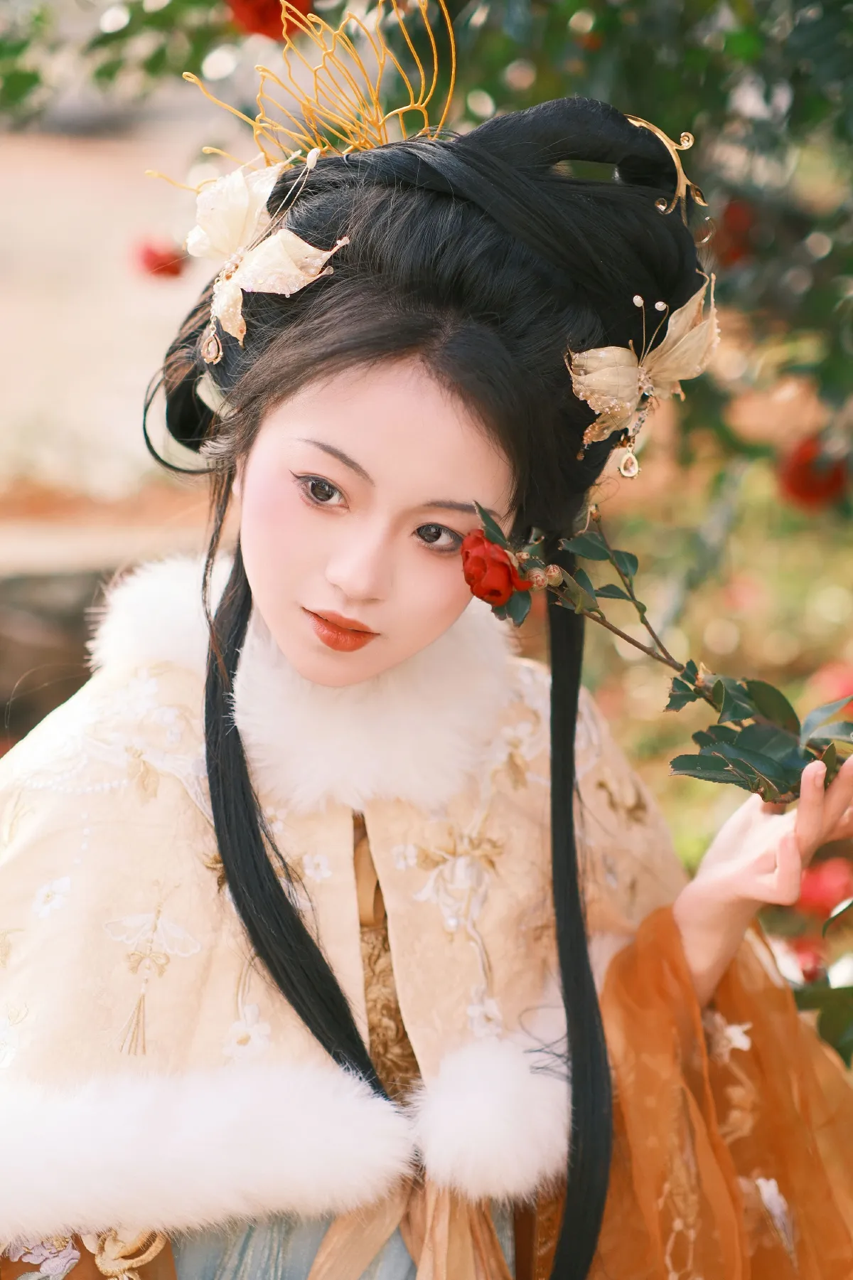 山茶旧事3