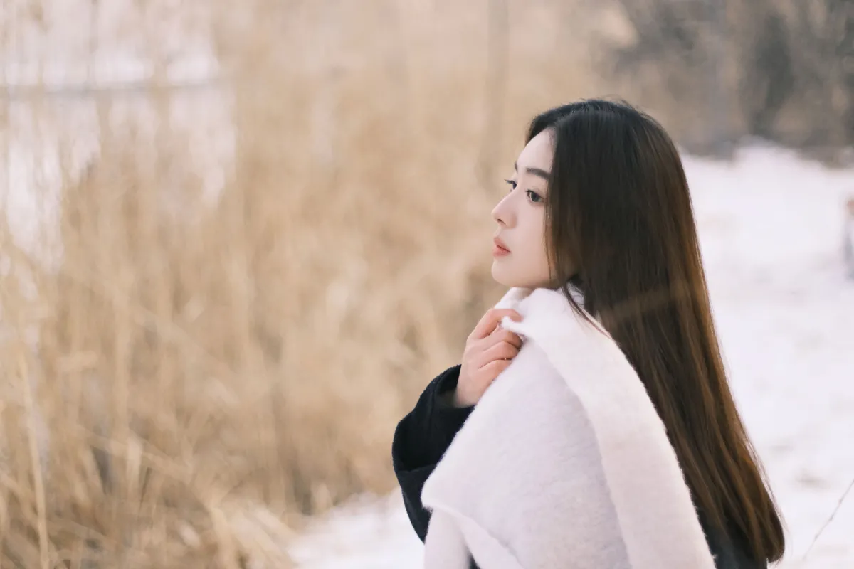 雪天情书