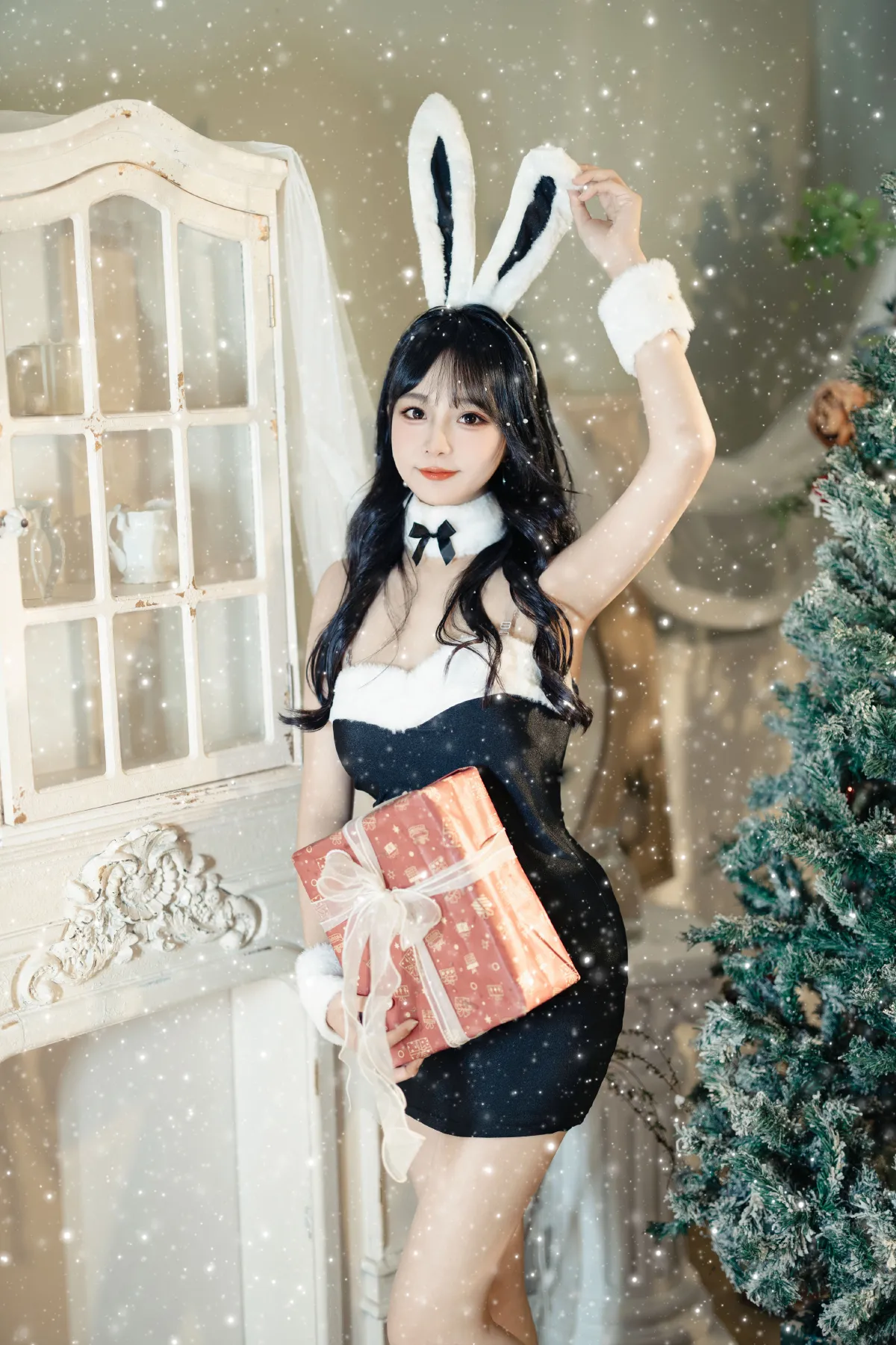 雪中兔1