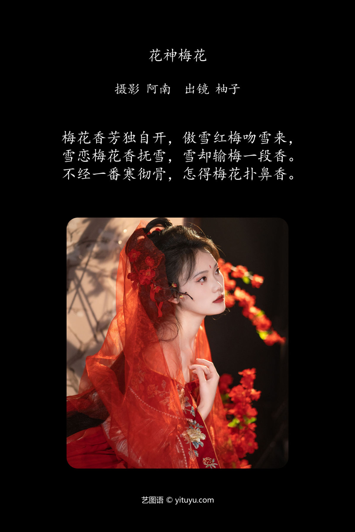 阿南_柚子《花神 梅花》美图作品图片2