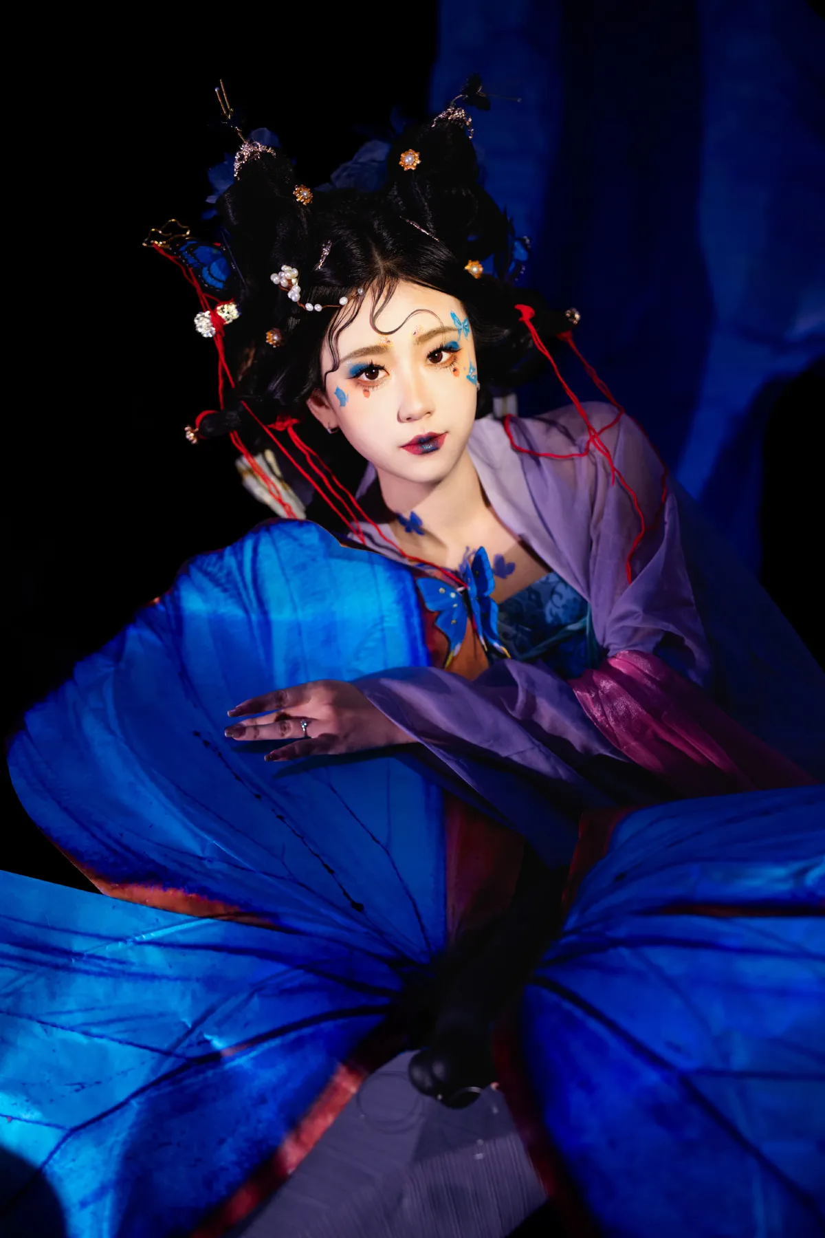 蓝蝶1