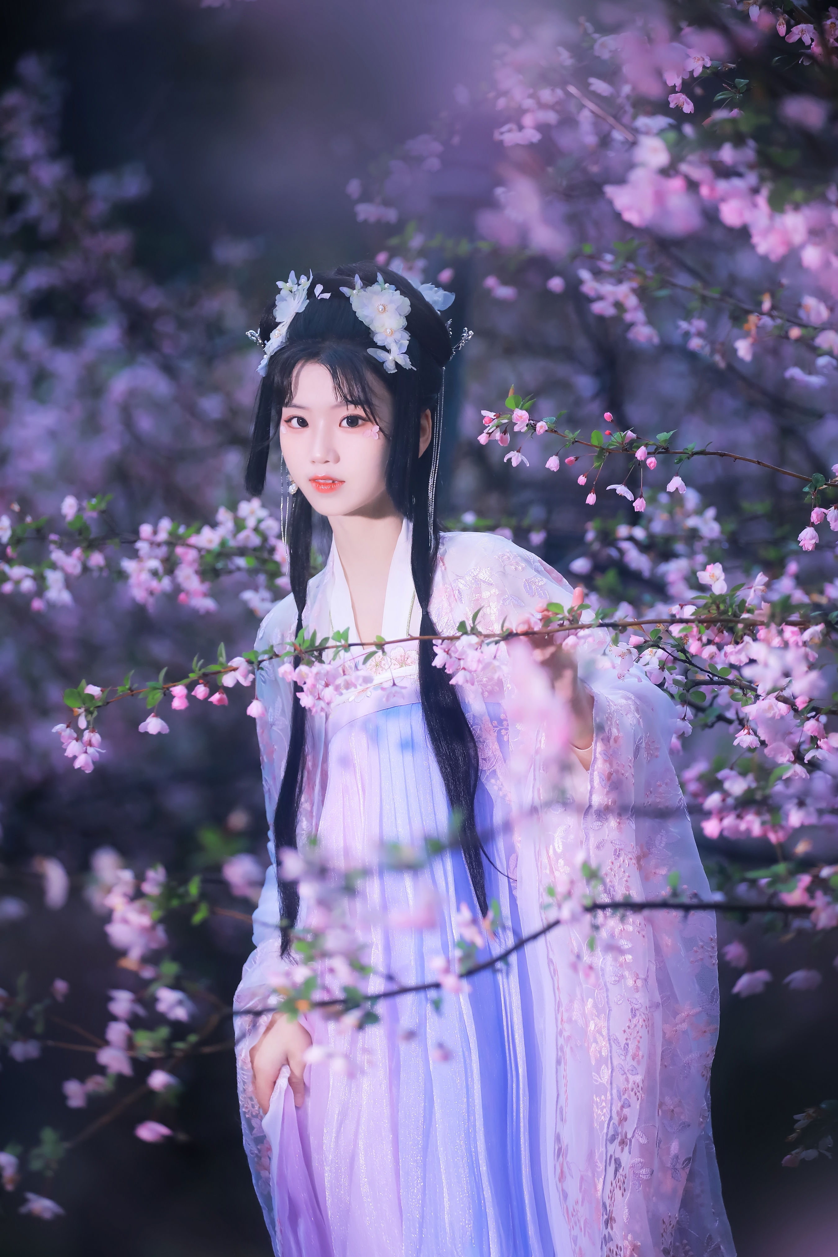 海棠依旧