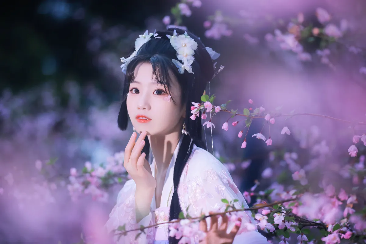海棠依旧