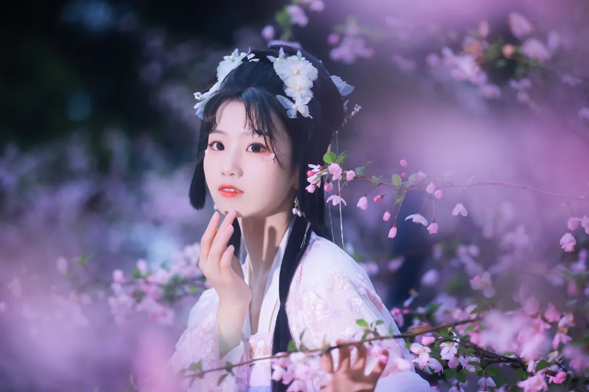 海棠依旧2