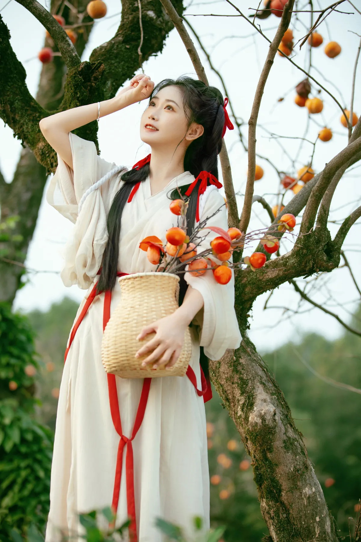 柿柿开心3