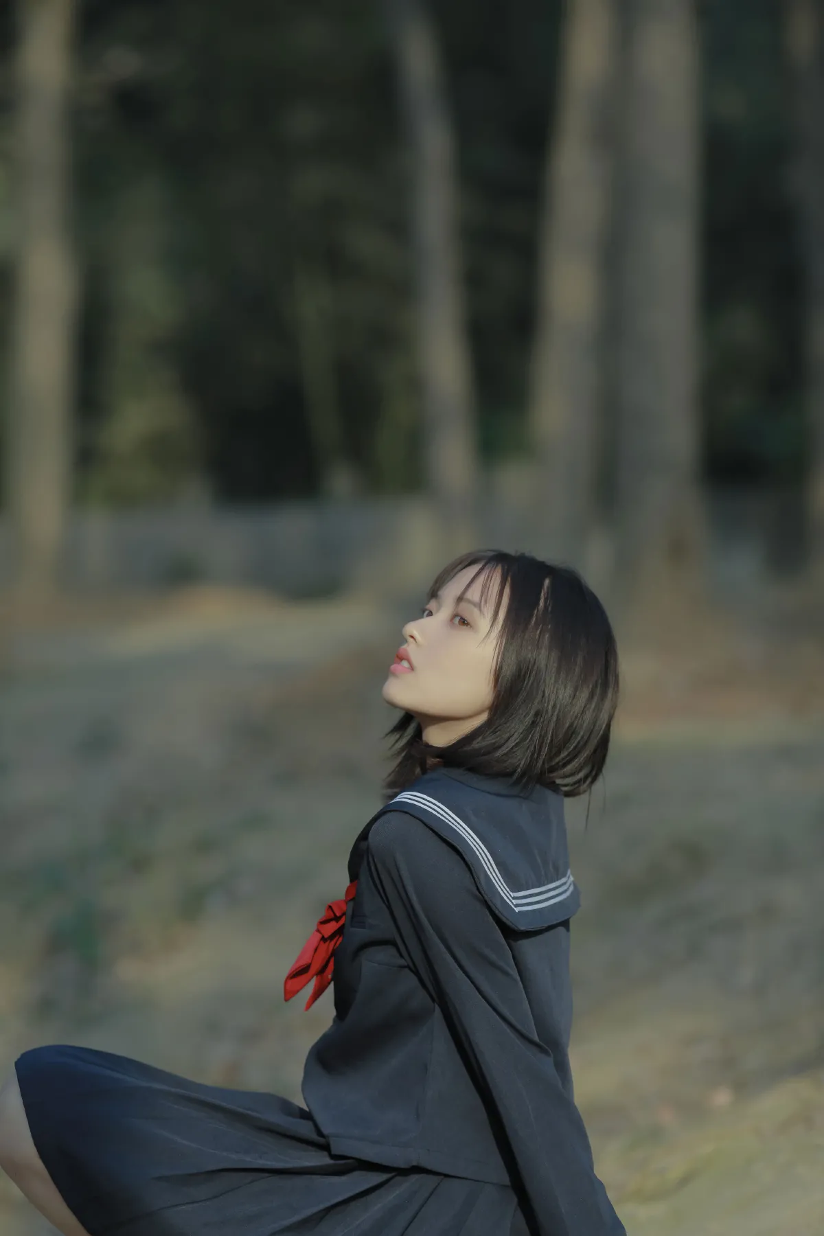 林间游荡3
