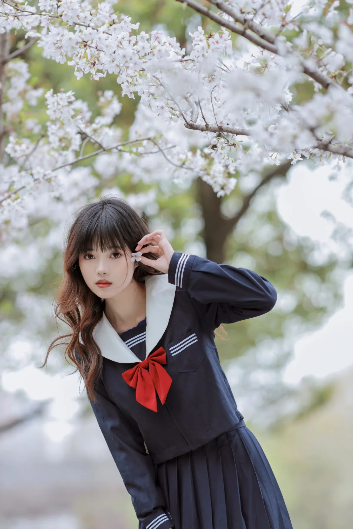 樱花树下1