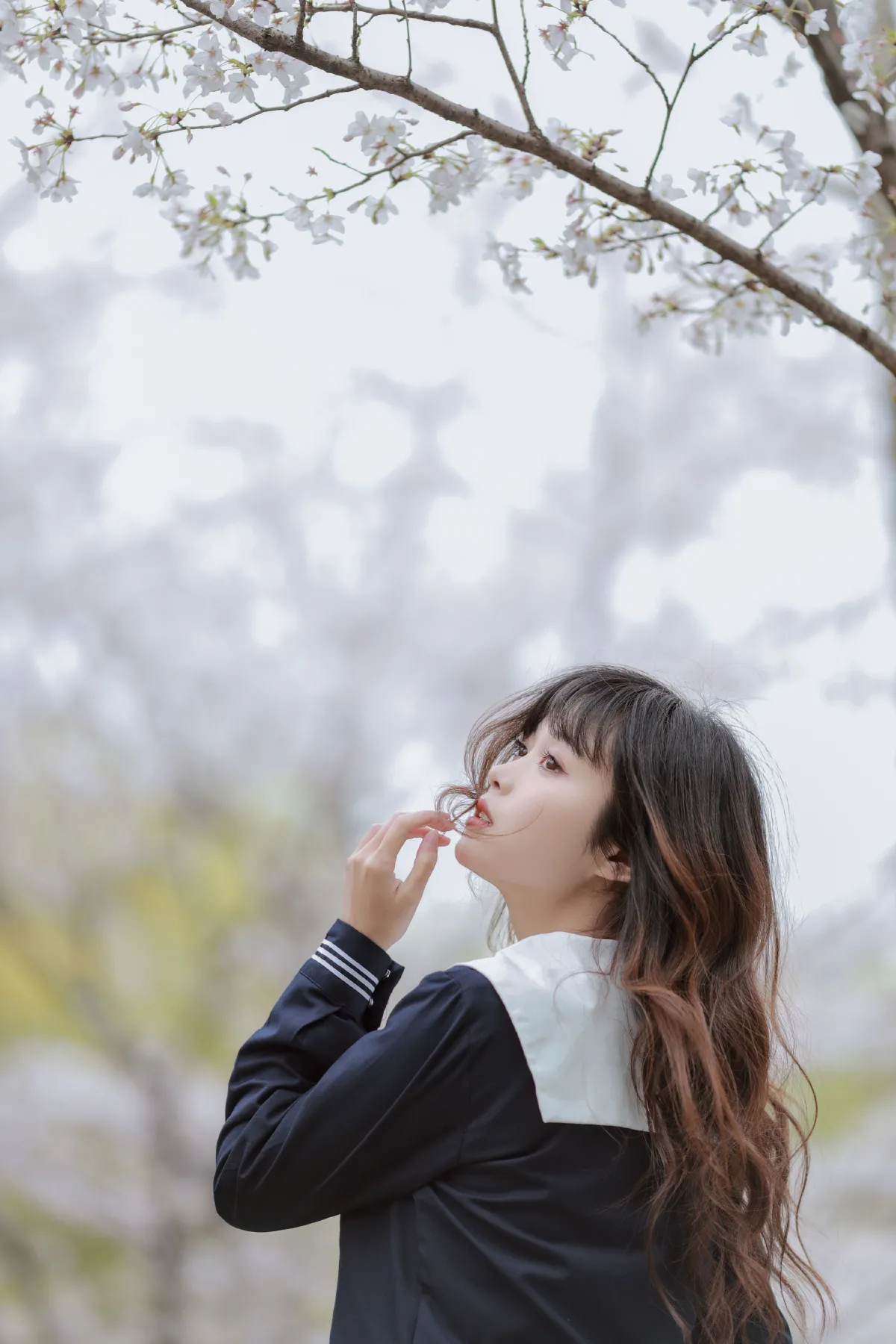 樱花树下2