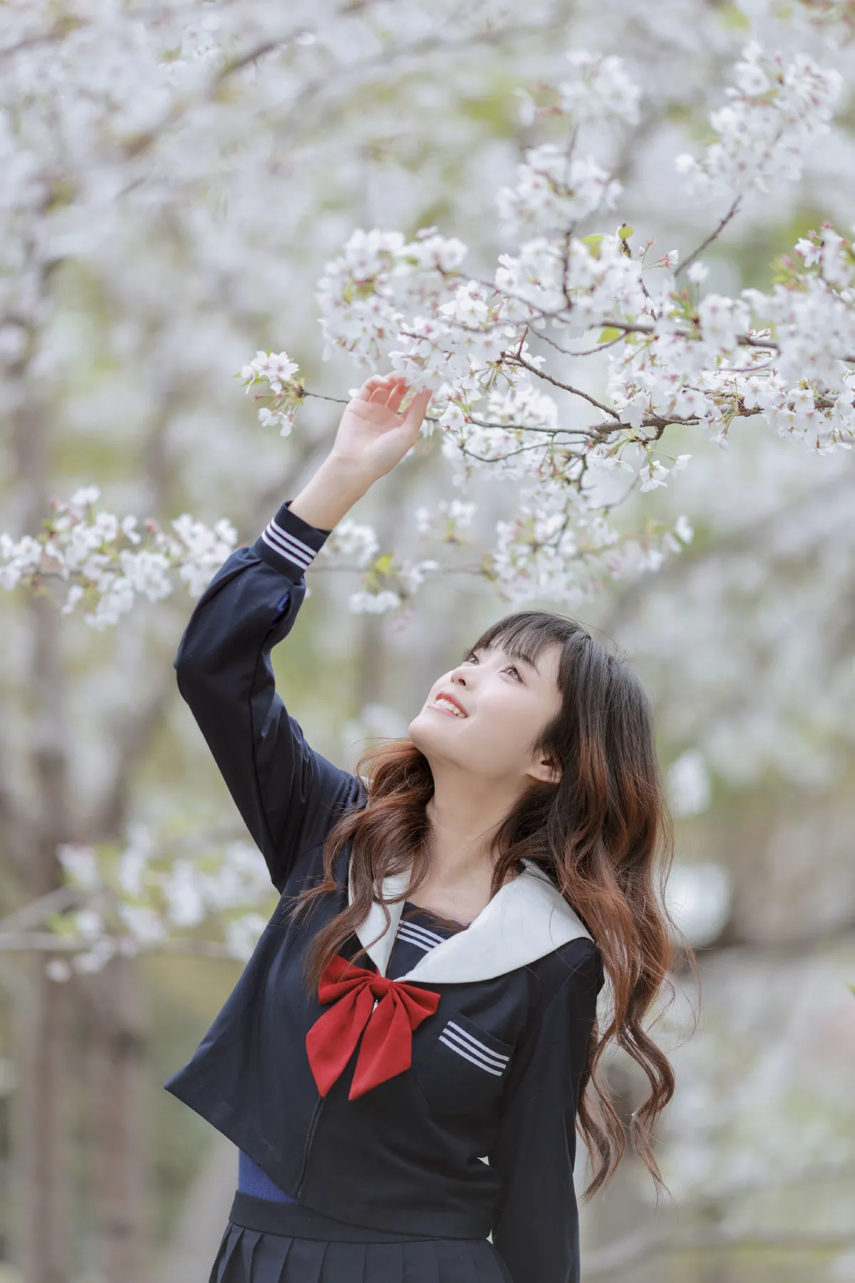 樱花树下3