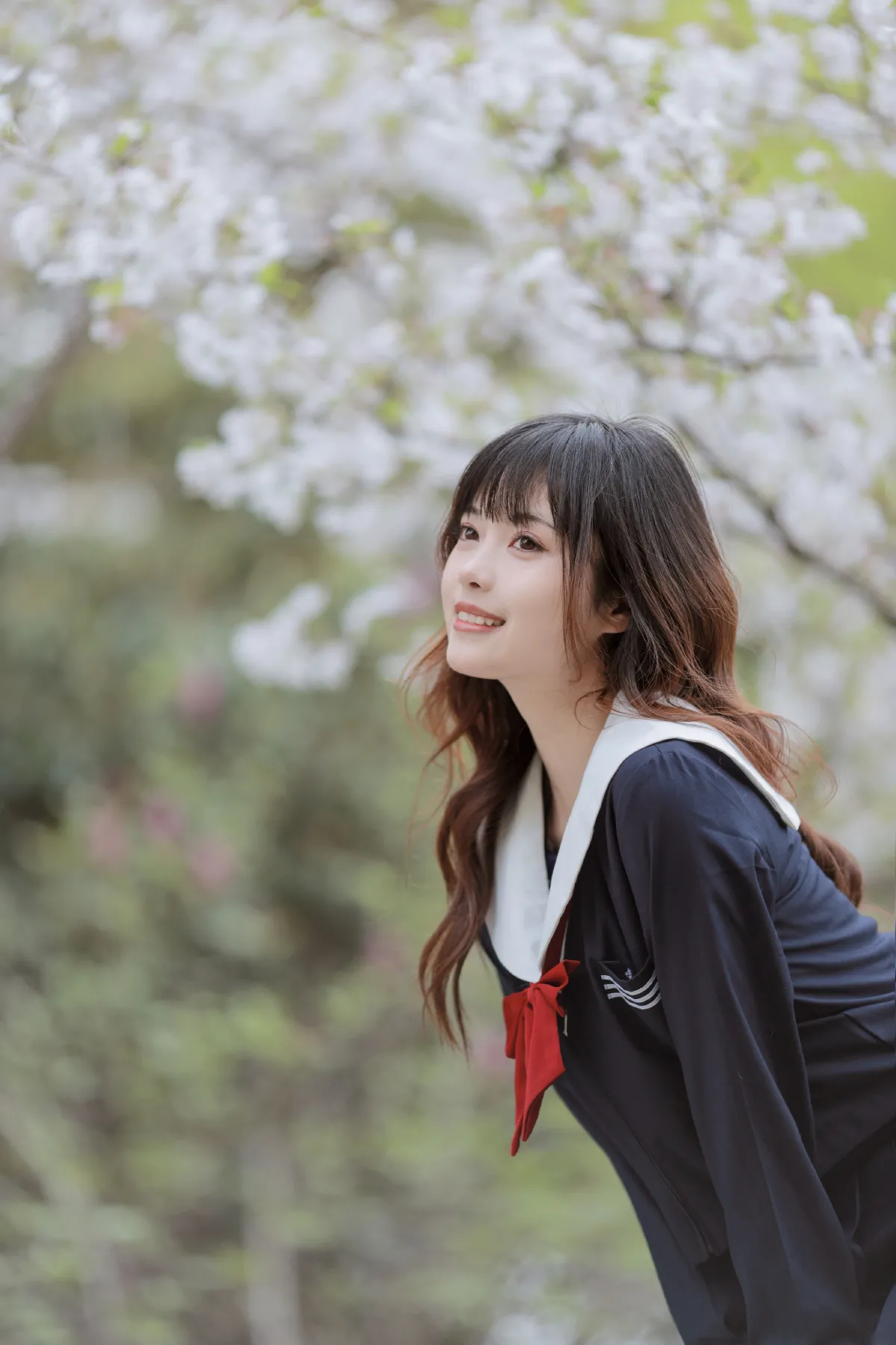 樱花树下