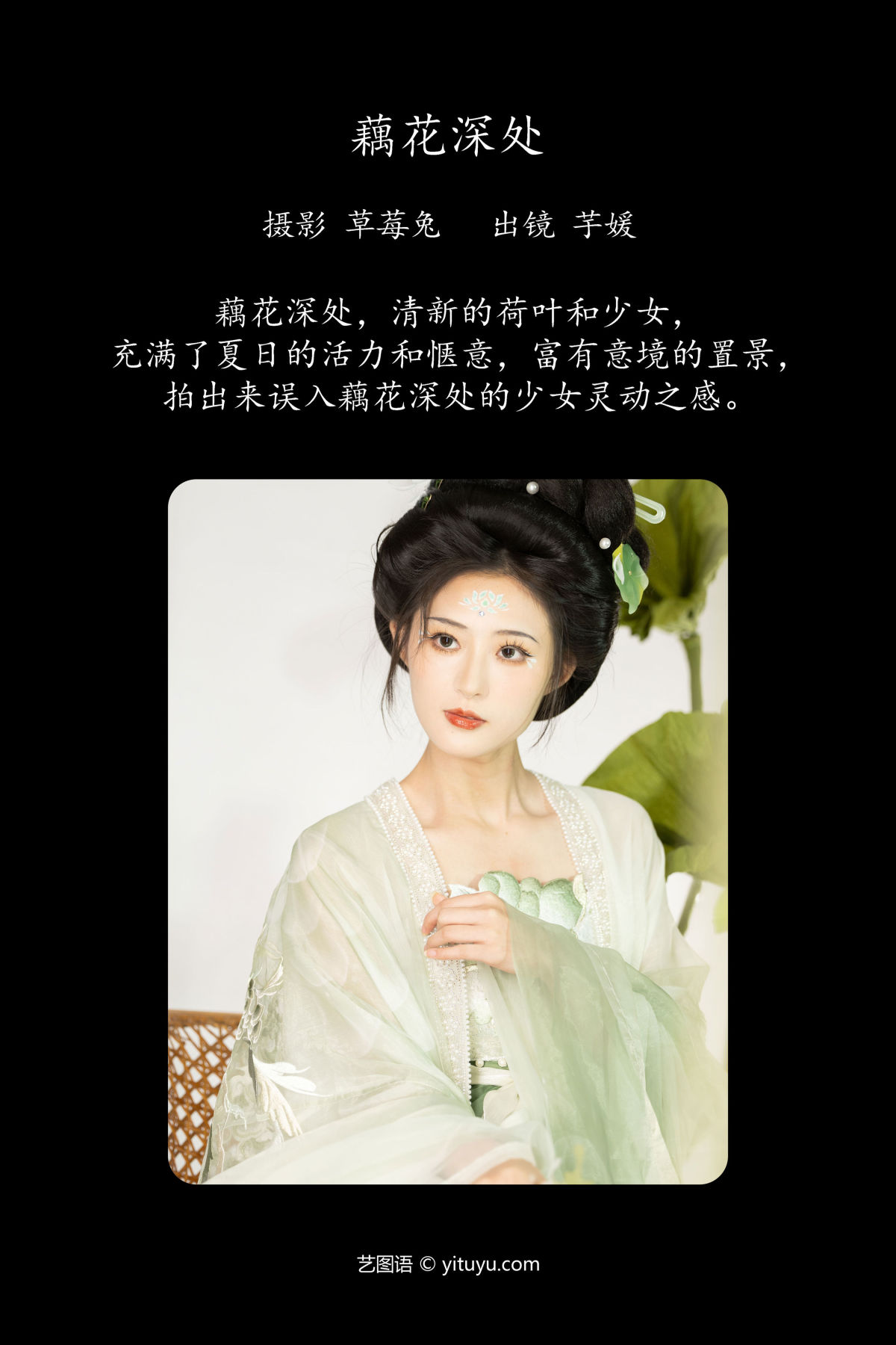 草莓兔_芋媛一碗《藕花深处》美图作品图片2