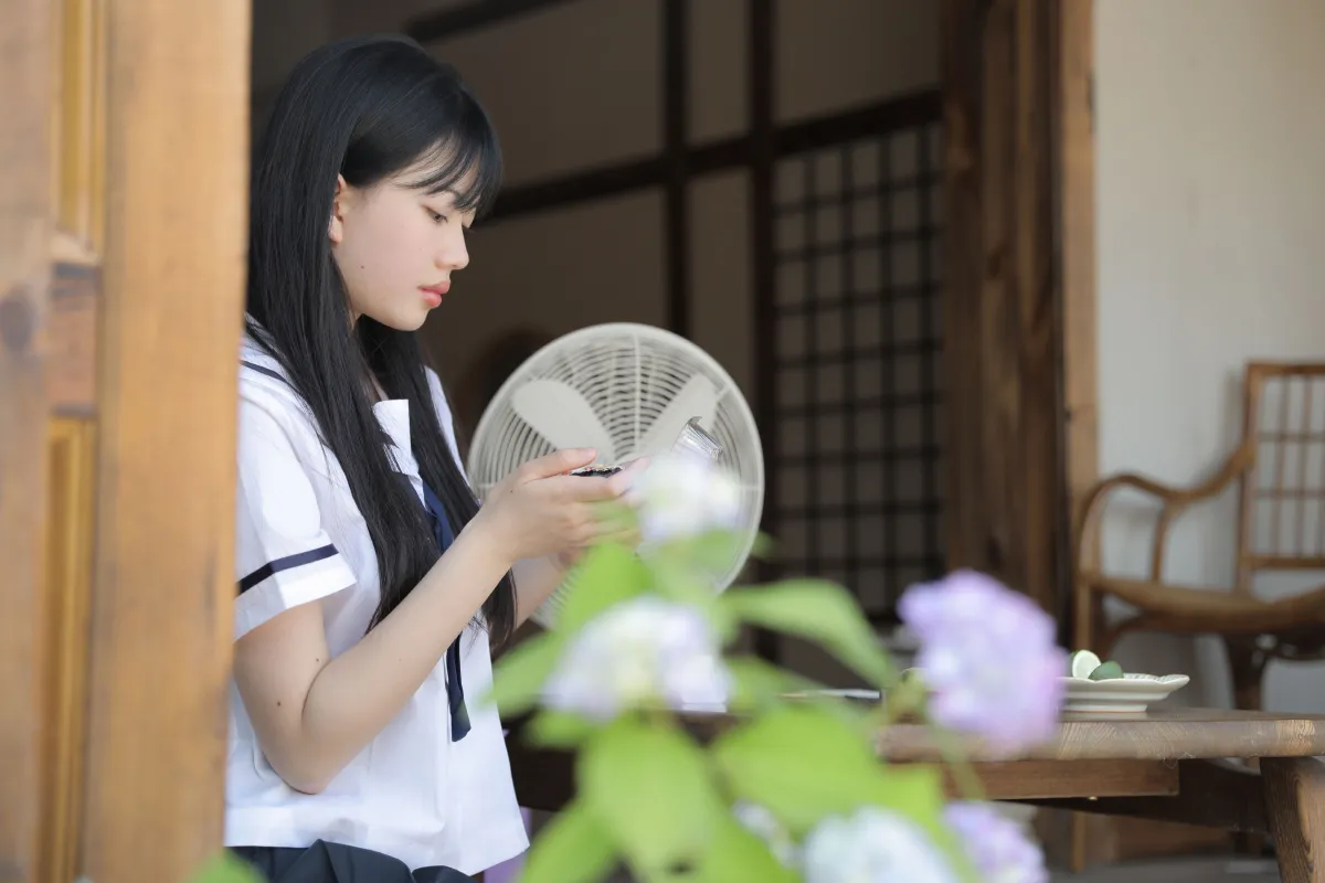 木屋里的夏天