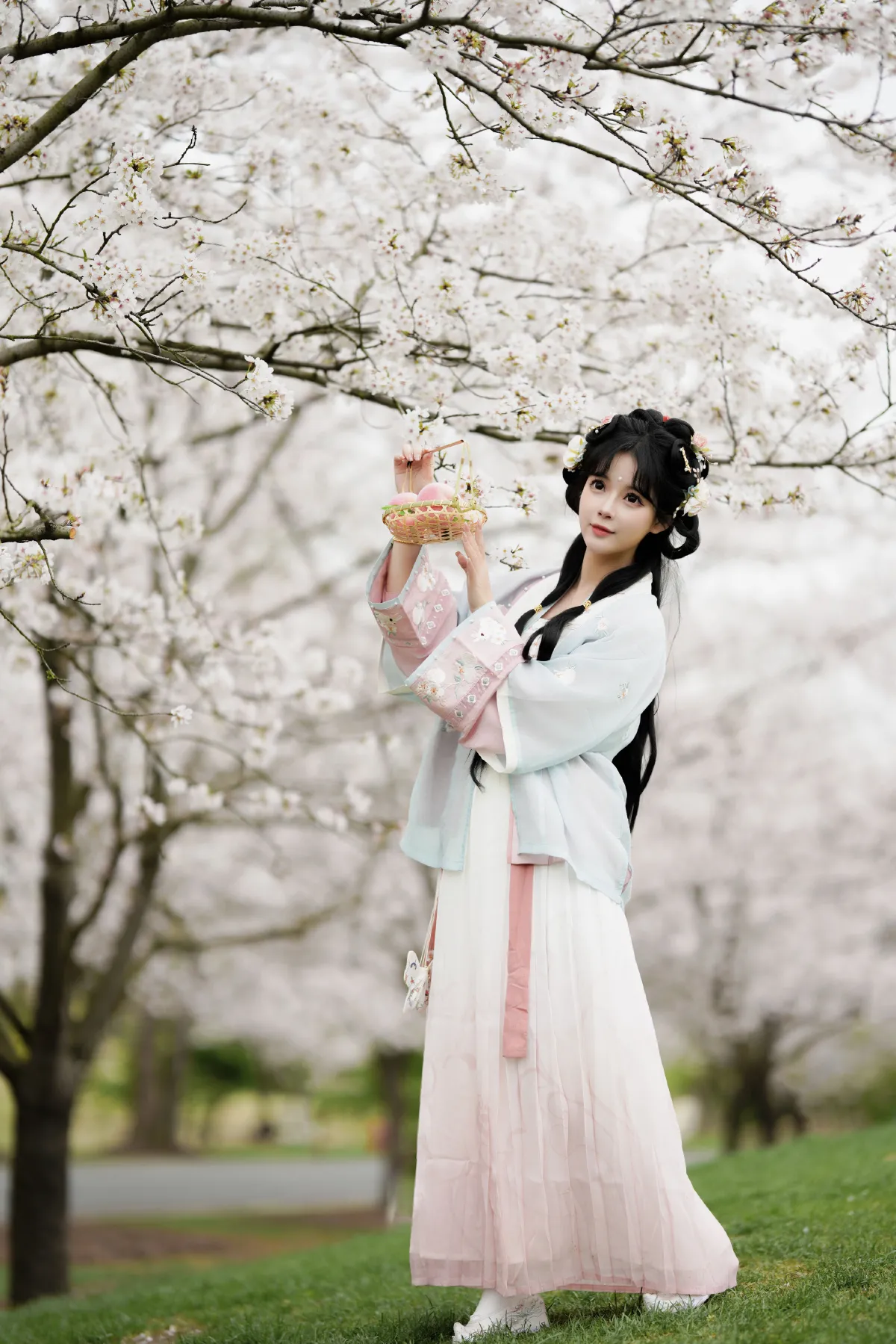 樱花树下1