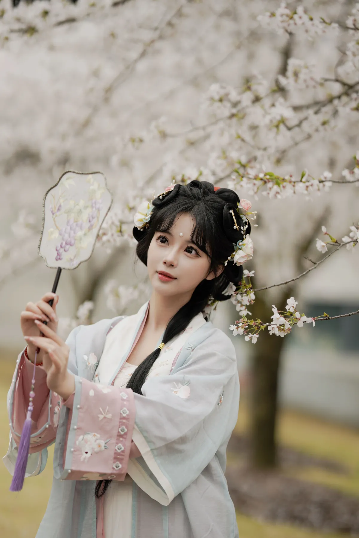 樱花树下3
