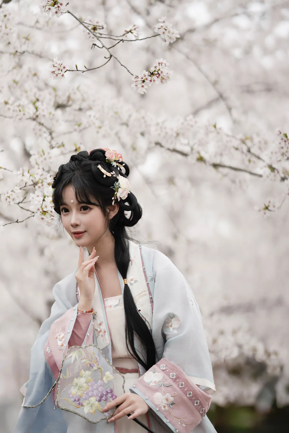 樱花树下