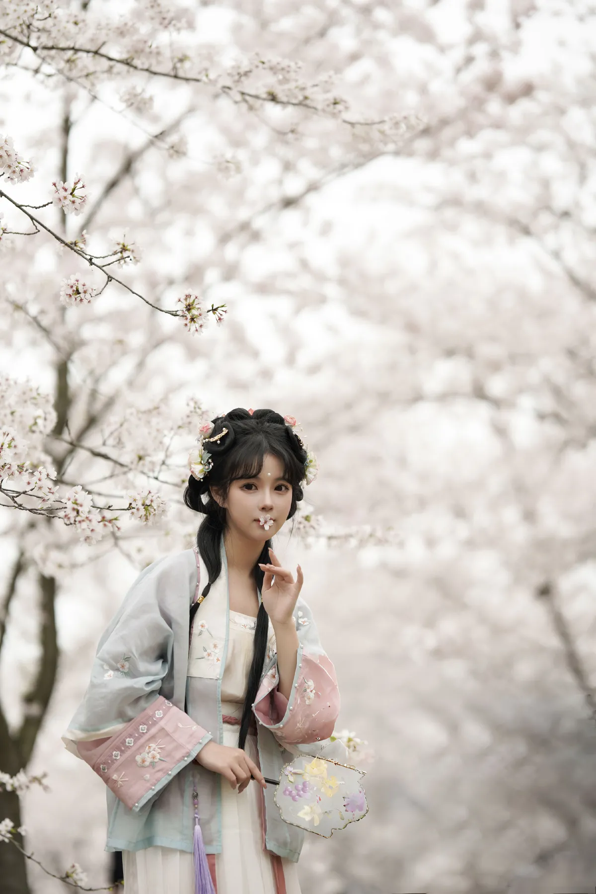 樱花树下