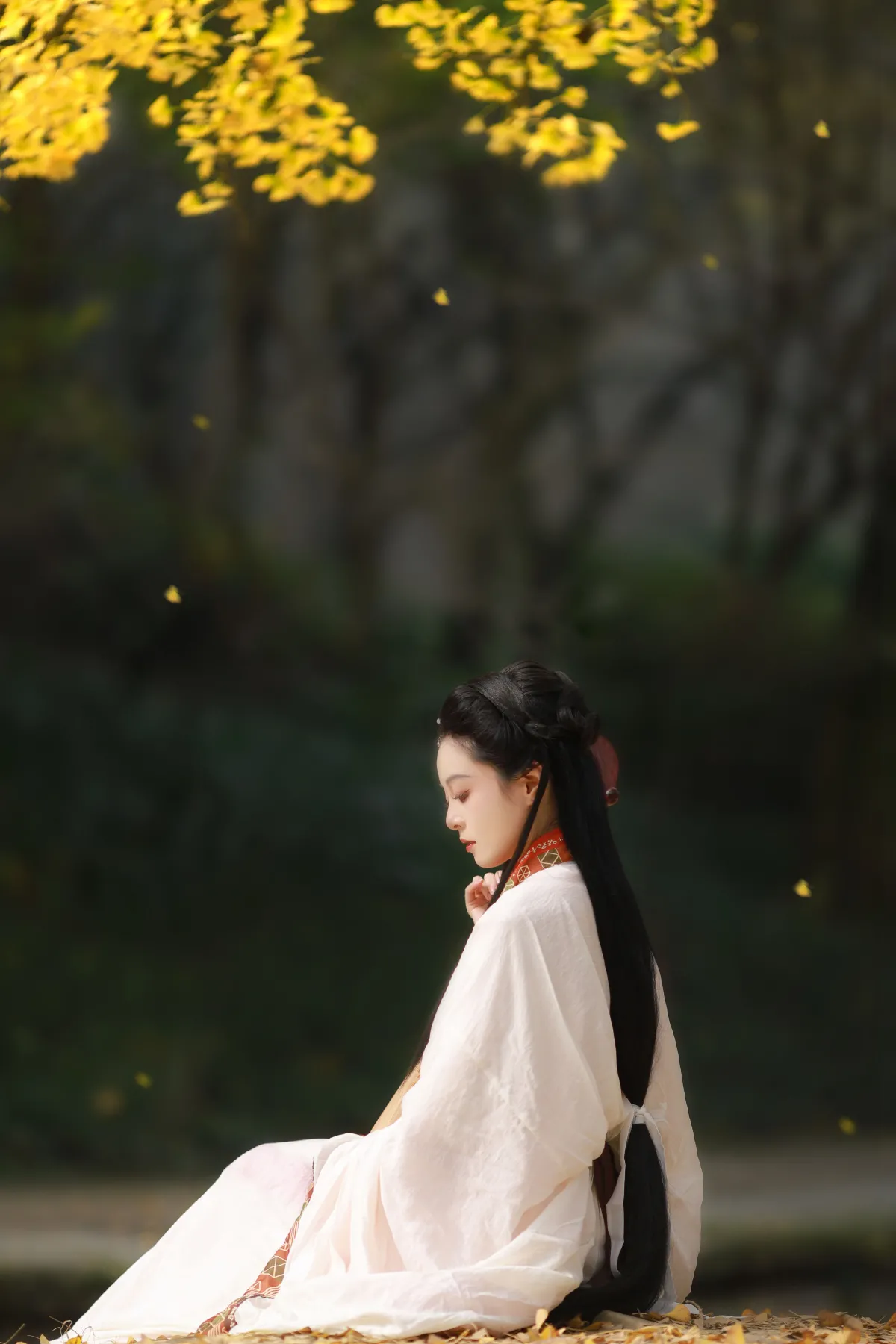秋之色2