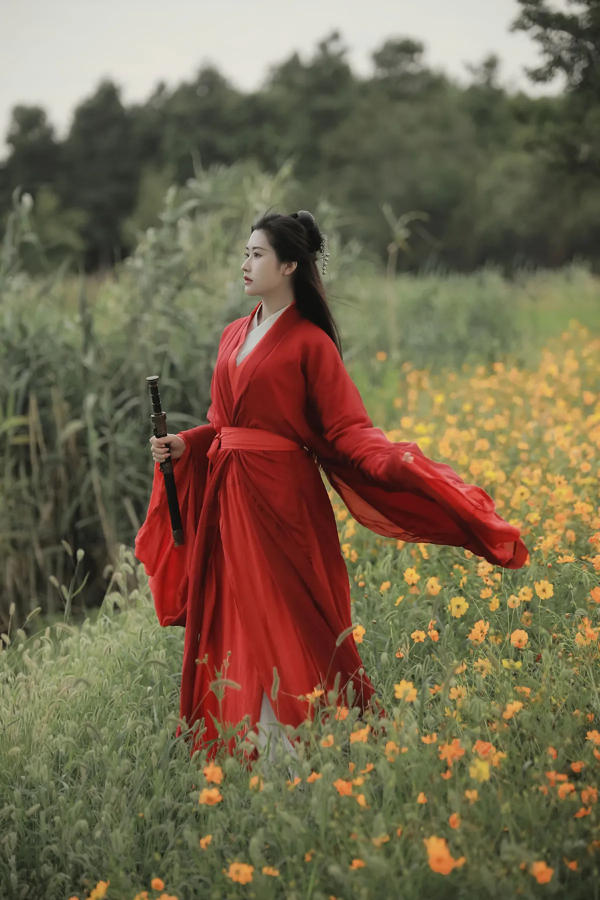 长安如故