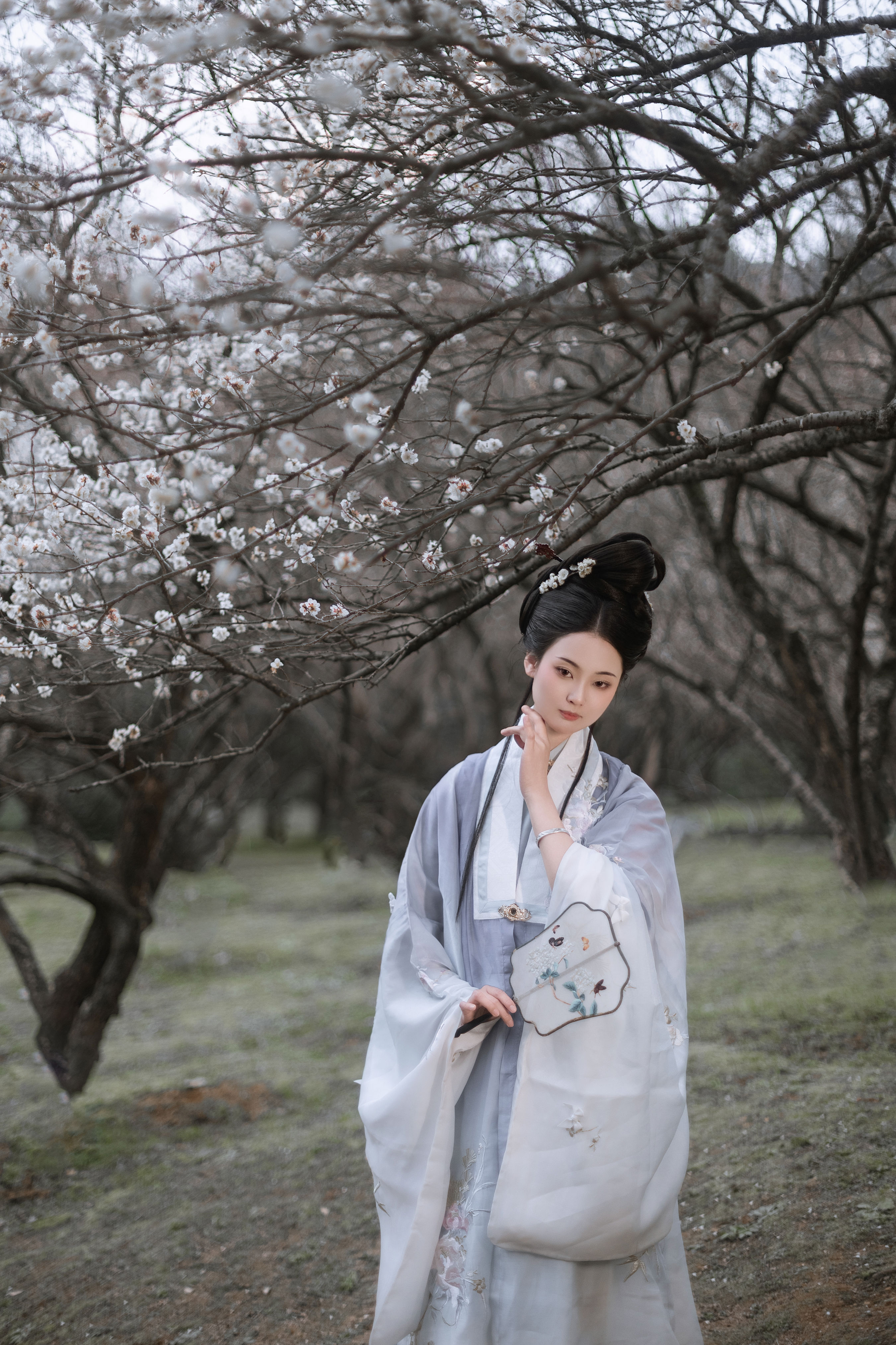 问梅