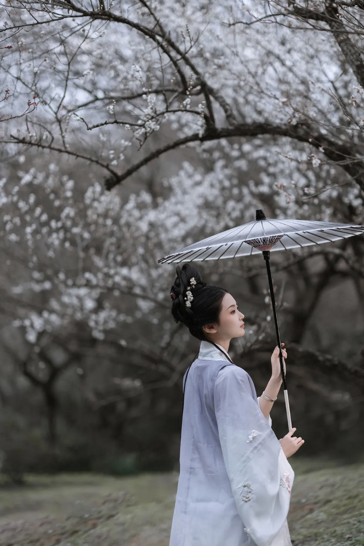 问梅3