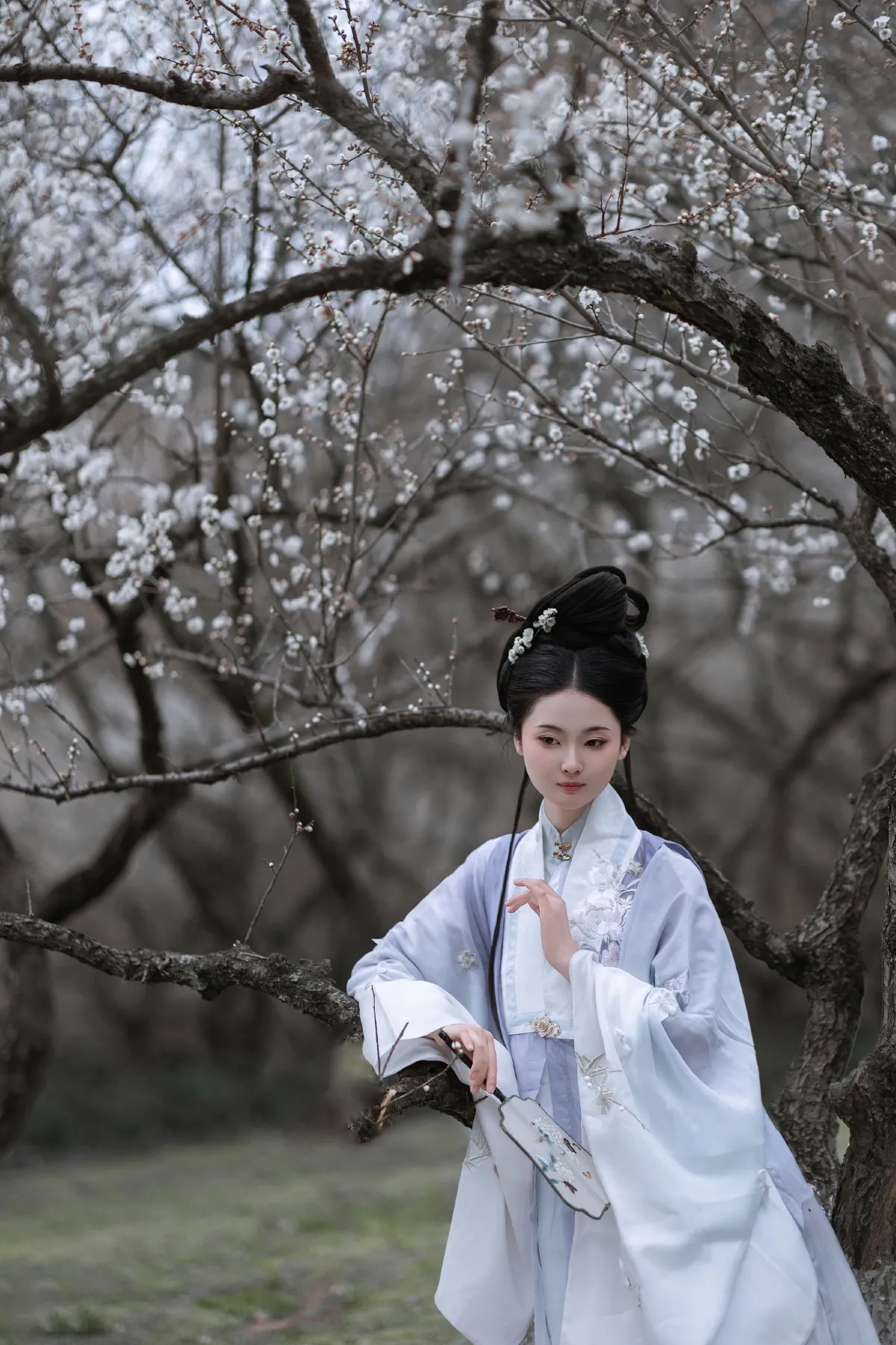 问梅