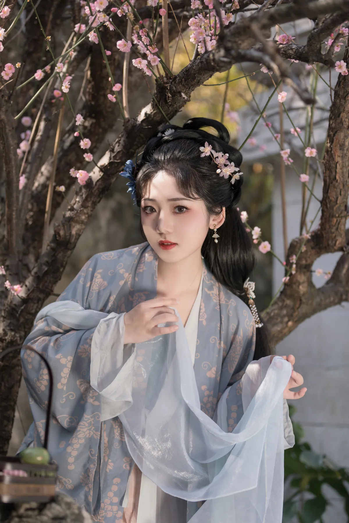 赋梅