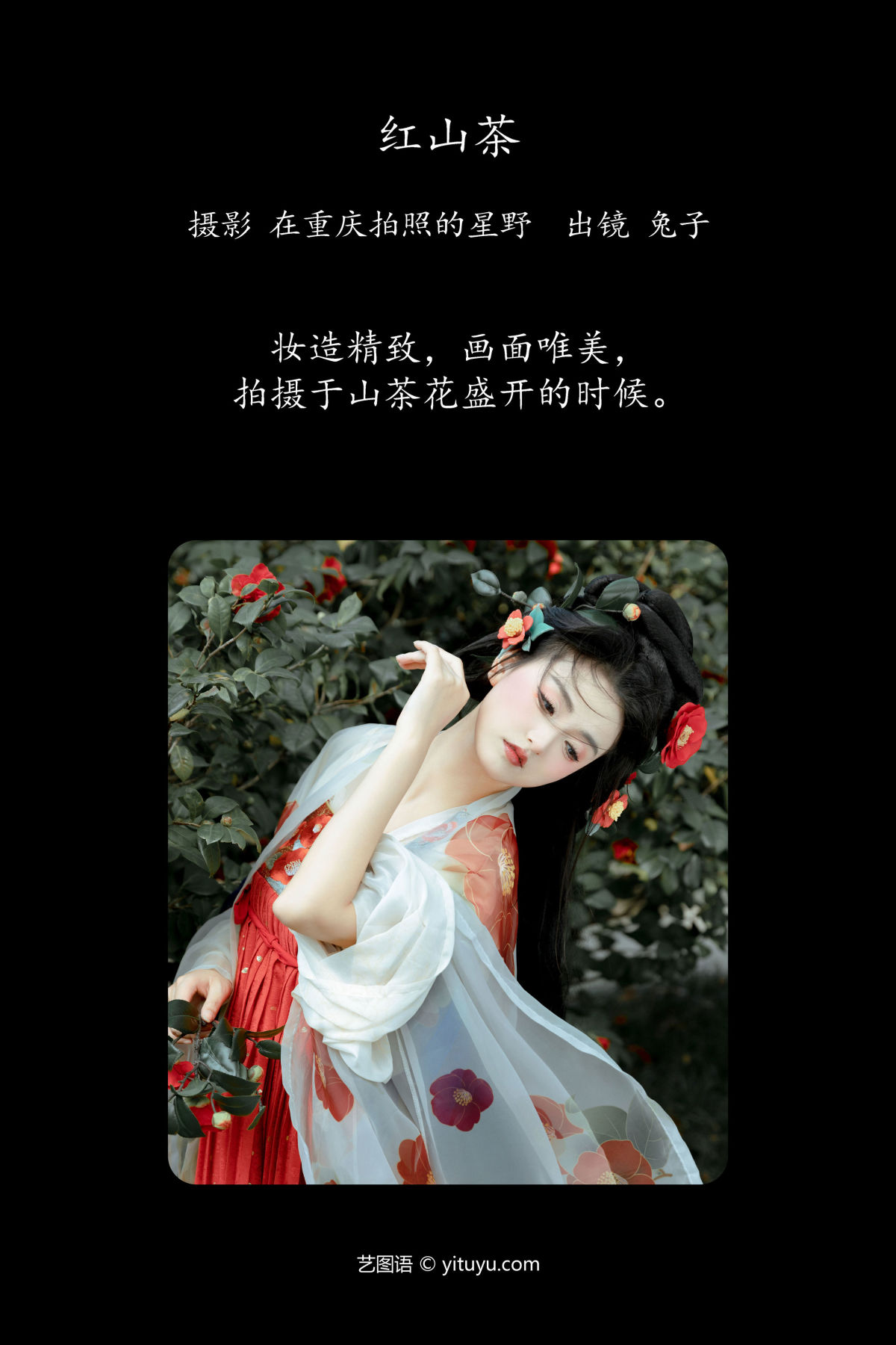 在重庆拍照的星野_华丽《红山茶》美图作品图片2