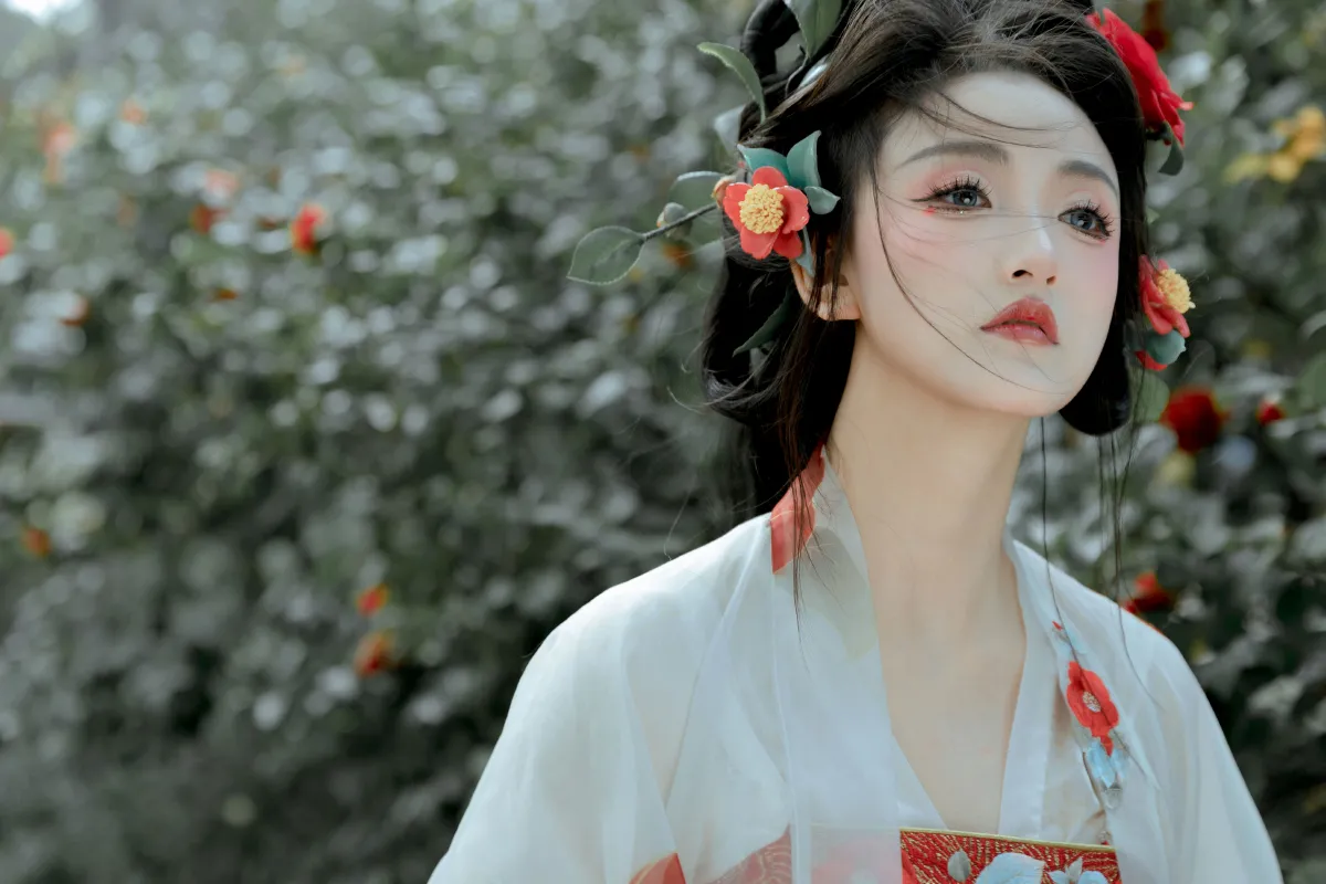 红山茶5