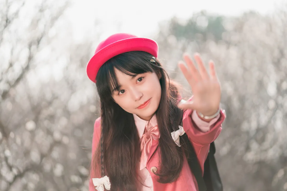 可爱梅花
