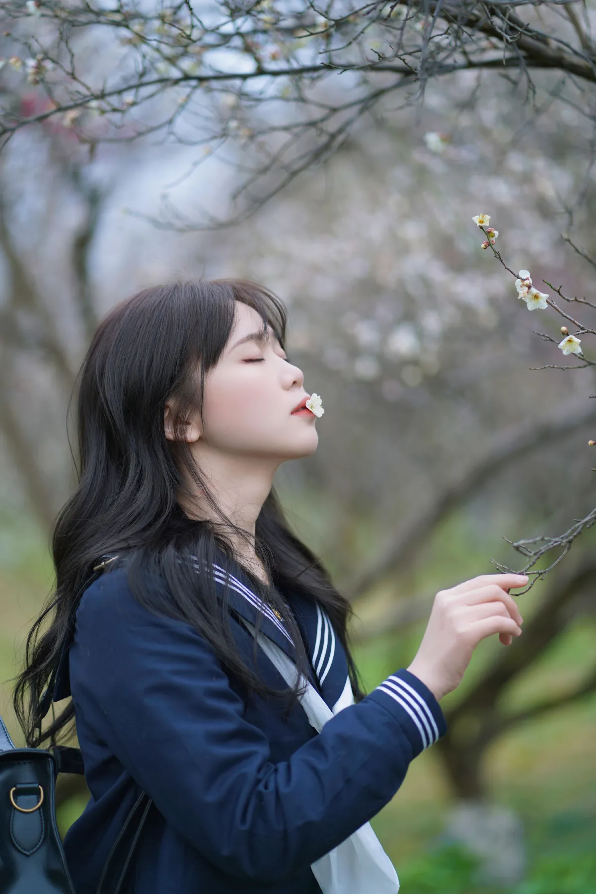 梅花树下