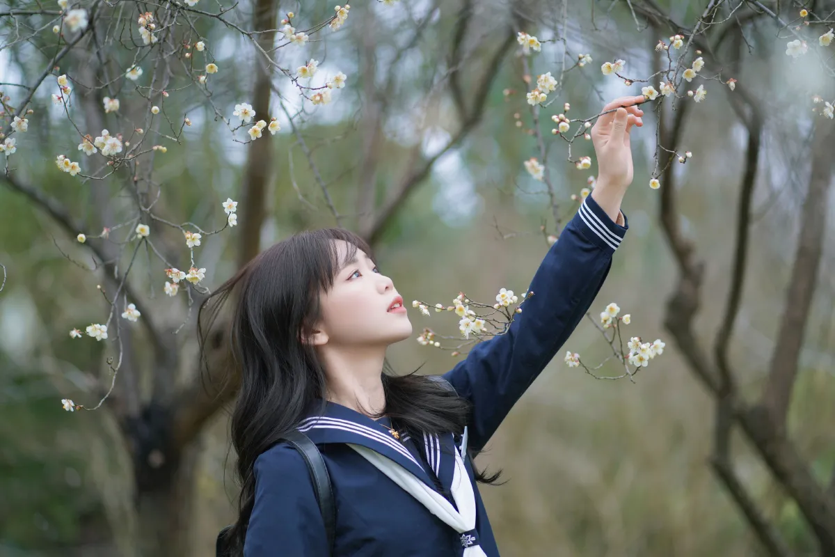 梅花树下