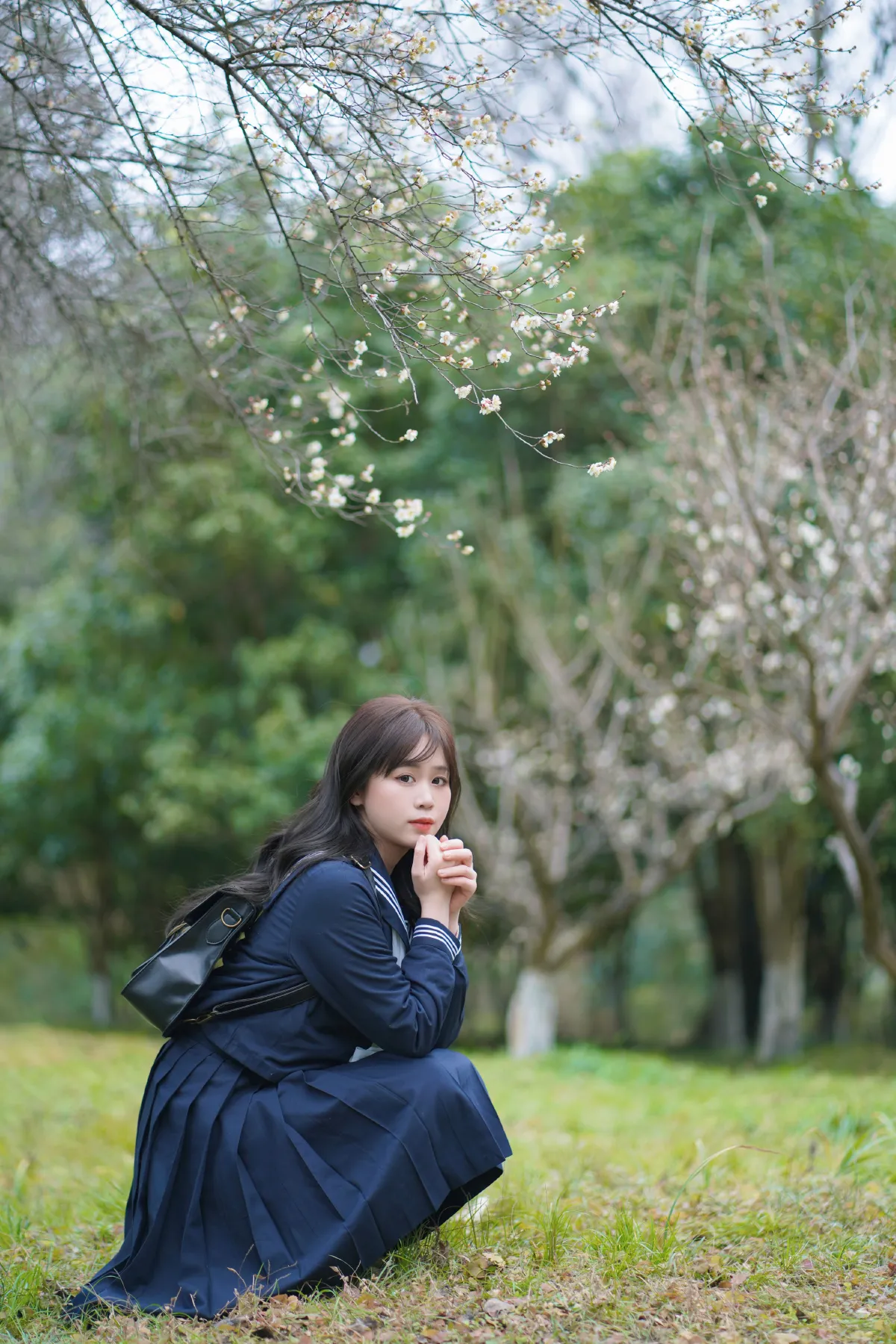 梅花树下