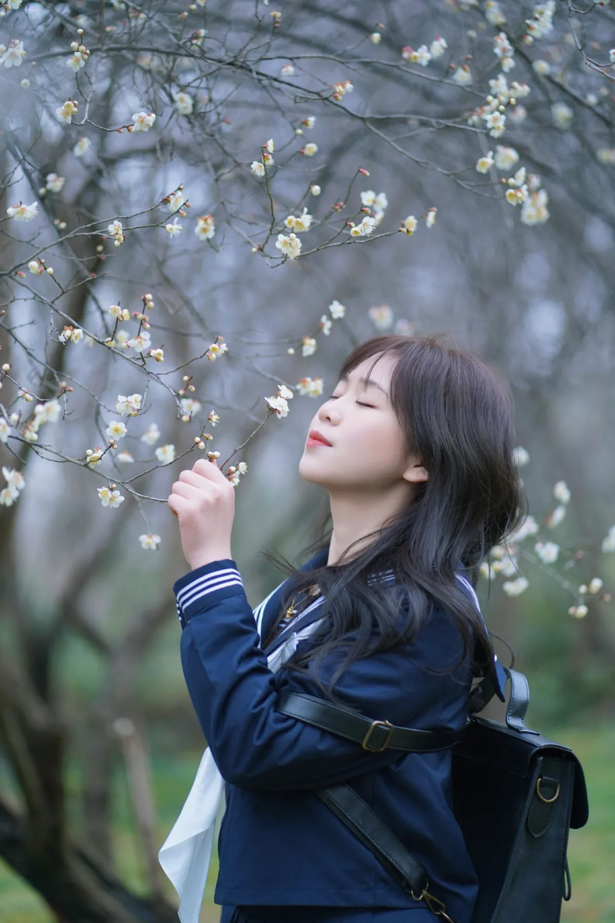 梅花树下