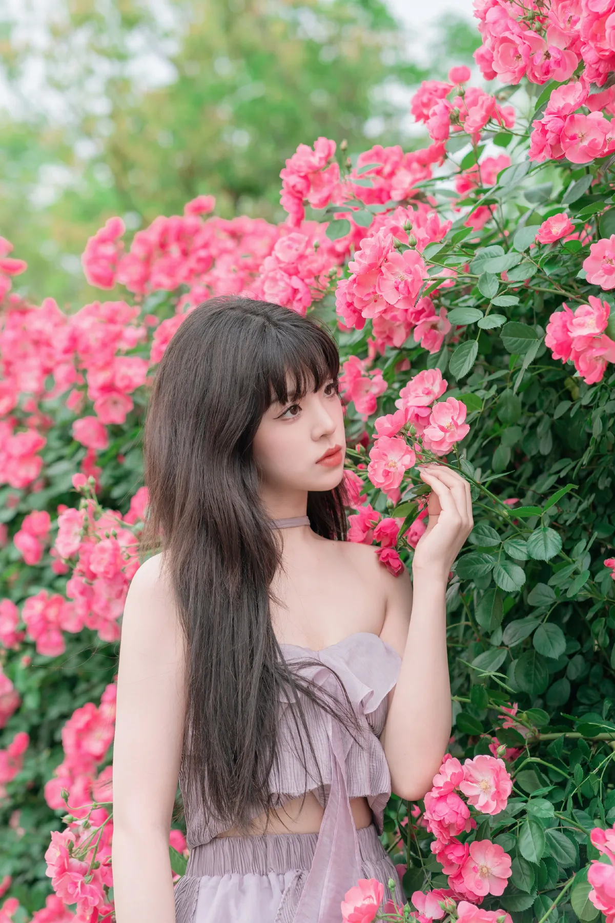 让花盛开2