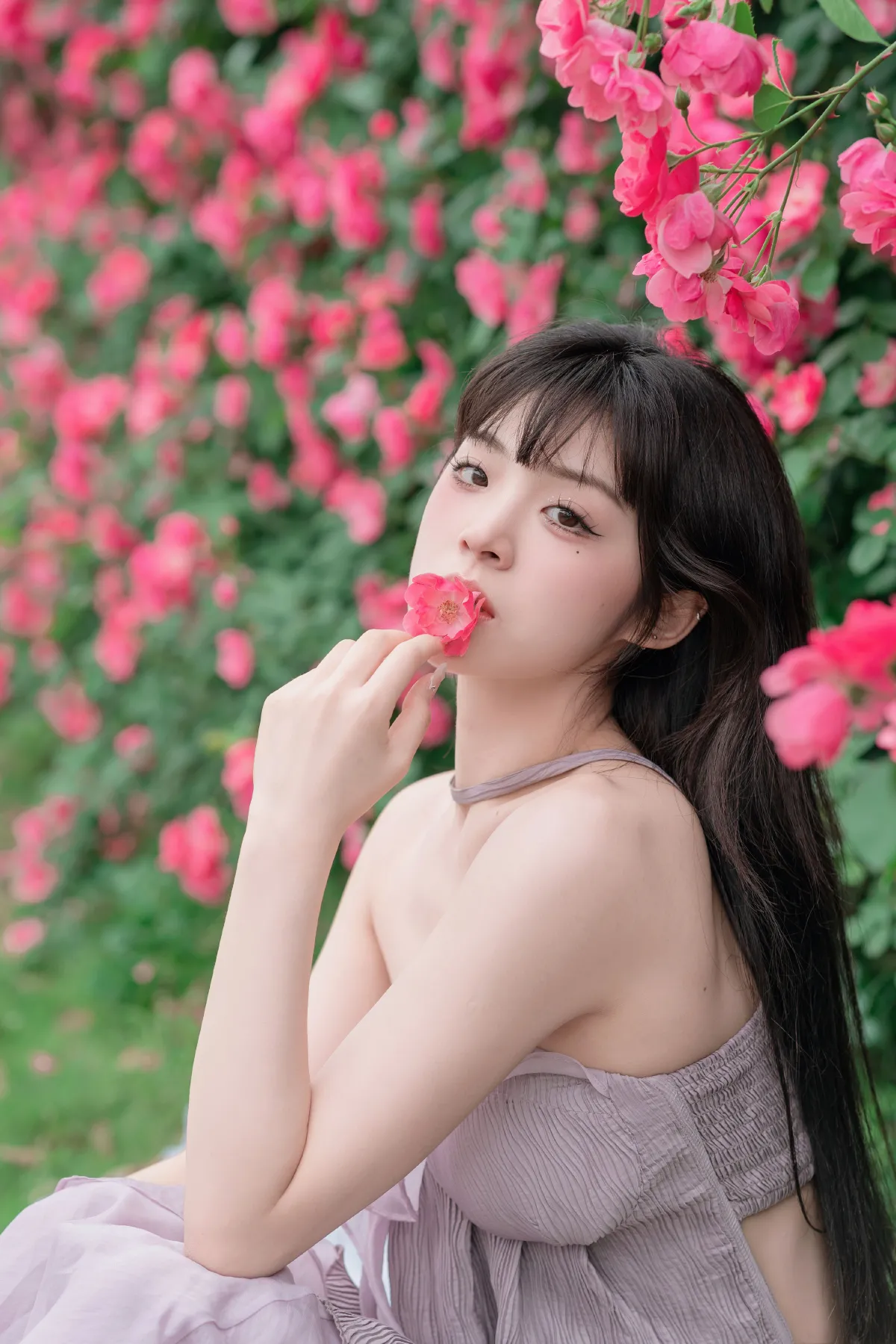 让花盛开3