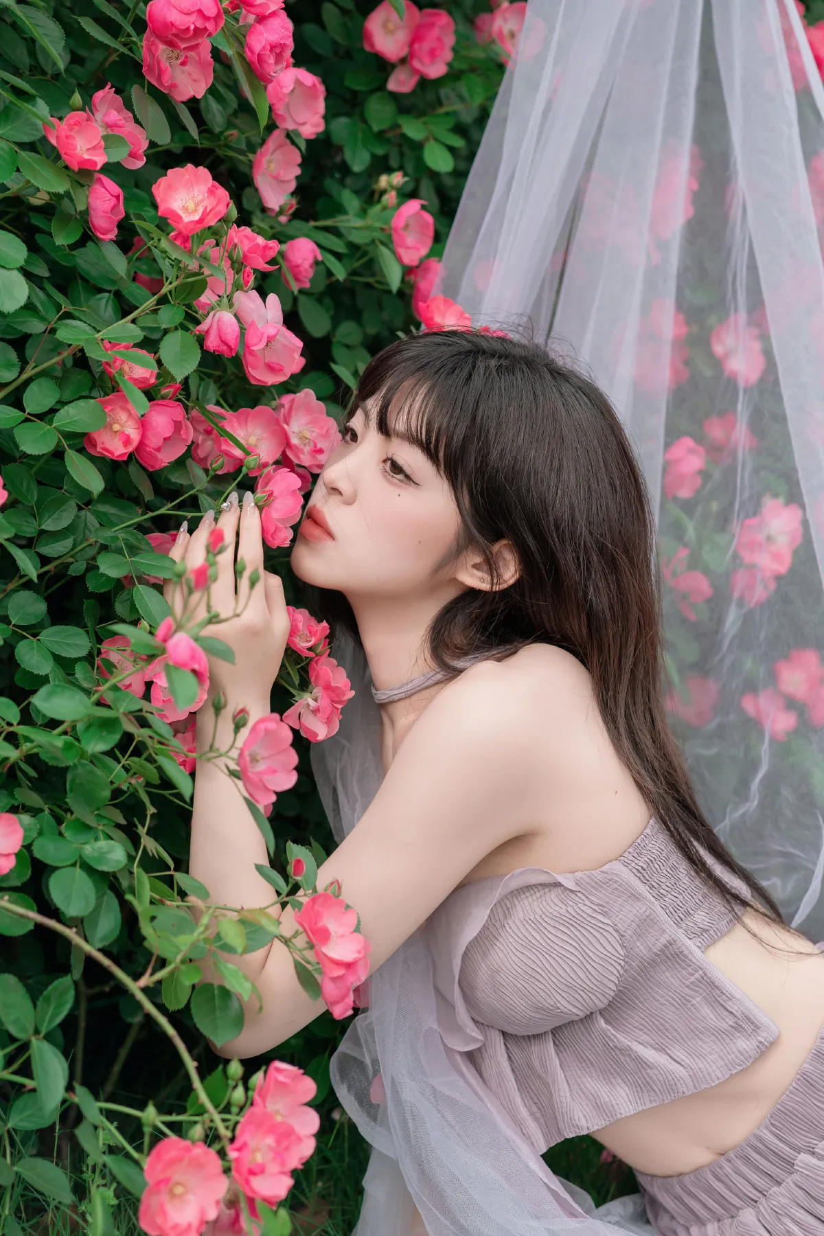 让花盛开