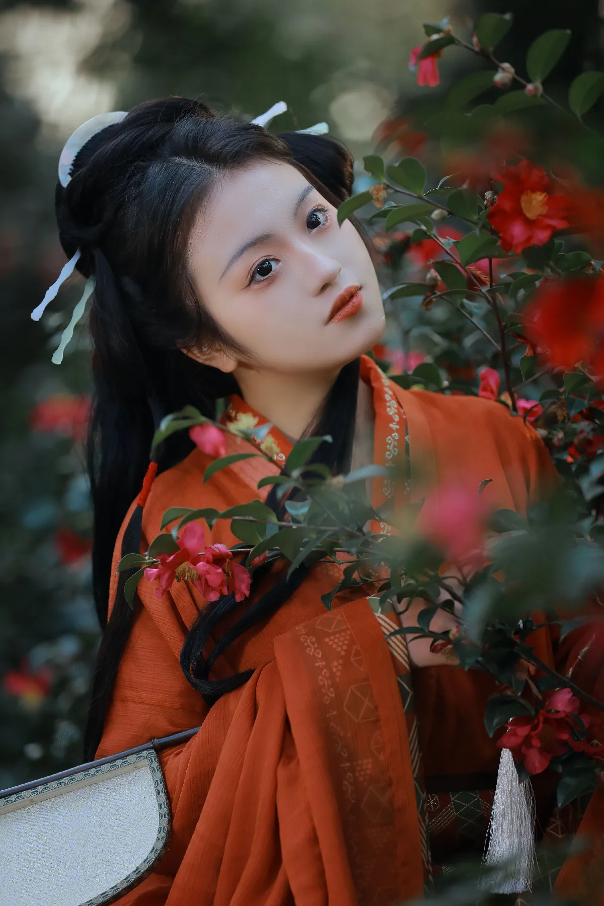 茶梅