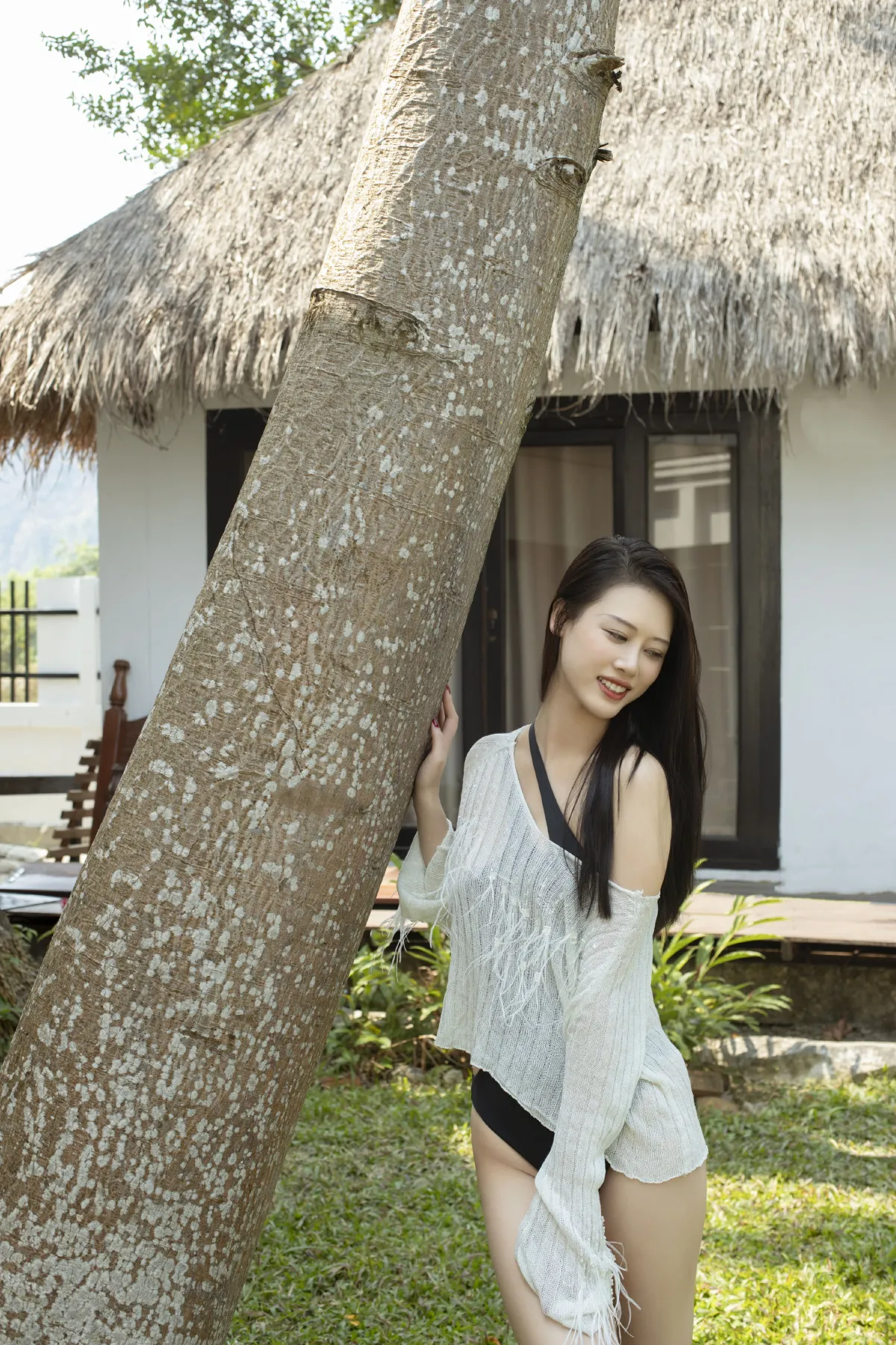 Coconut Trees2